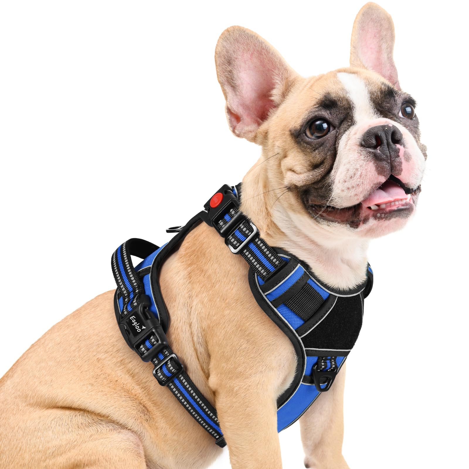 Eagloo Dog Harness Medium Sized, Easy Wearing with 3 Buckles, Adjustable No Pull Pet Harness with 2 Rings for Walking, No Chock 