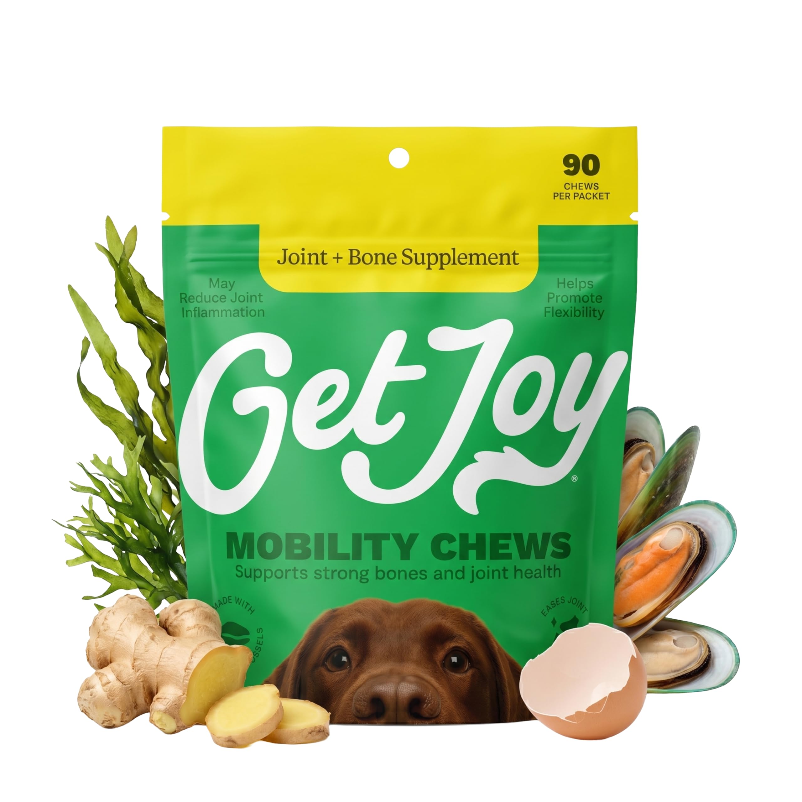 Get Joy Mobility Chew, Hip & Joint Supplement for Dogs, Vet Recommended Soft Daily Activity & Flexibility Support with Glucosami