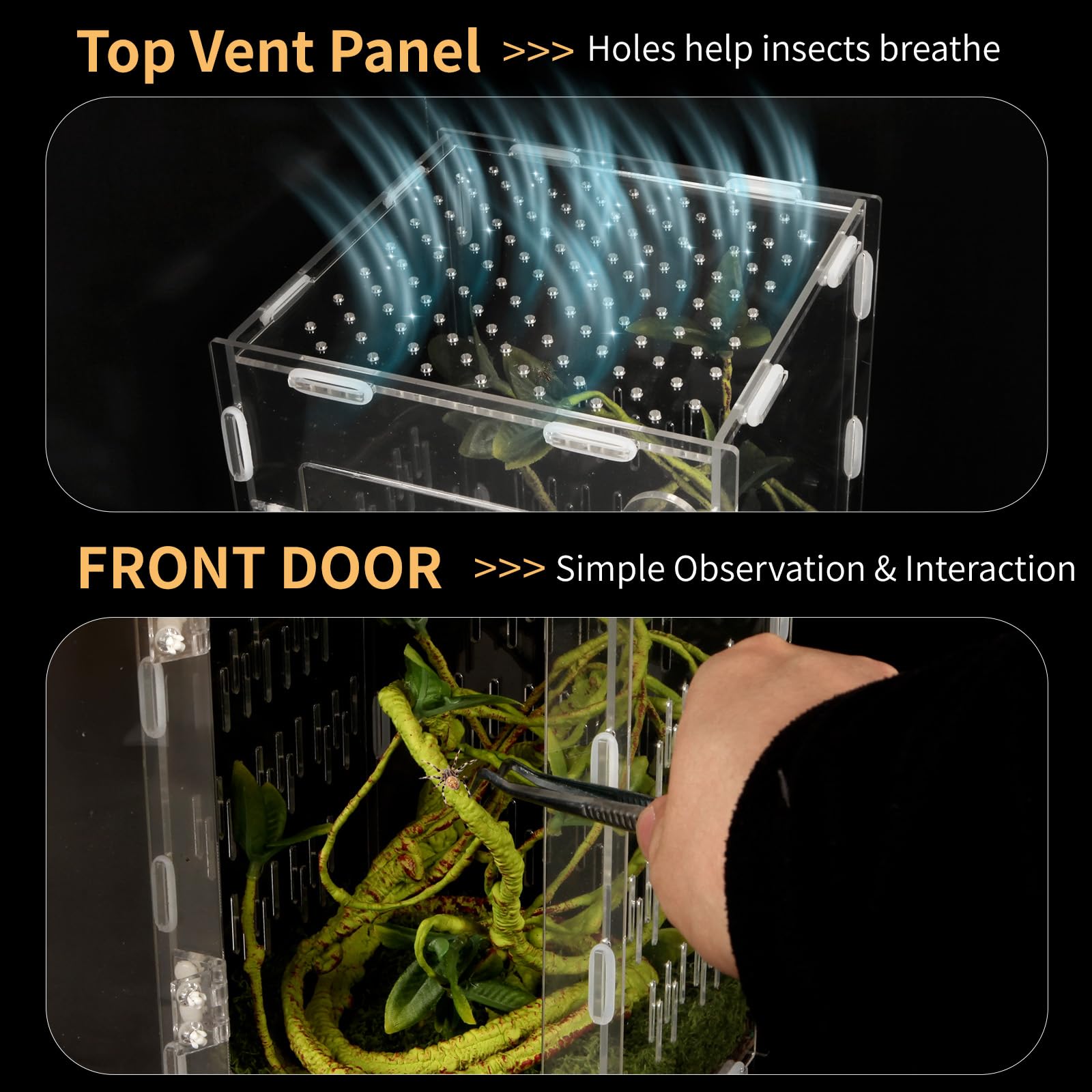 Acrylic Reptile Terrarium Easy Assembly, 360 Clear & Keep Pet Secure Design For Jumping Spiders, Tarantulas, Geckos Scratch-Resi
