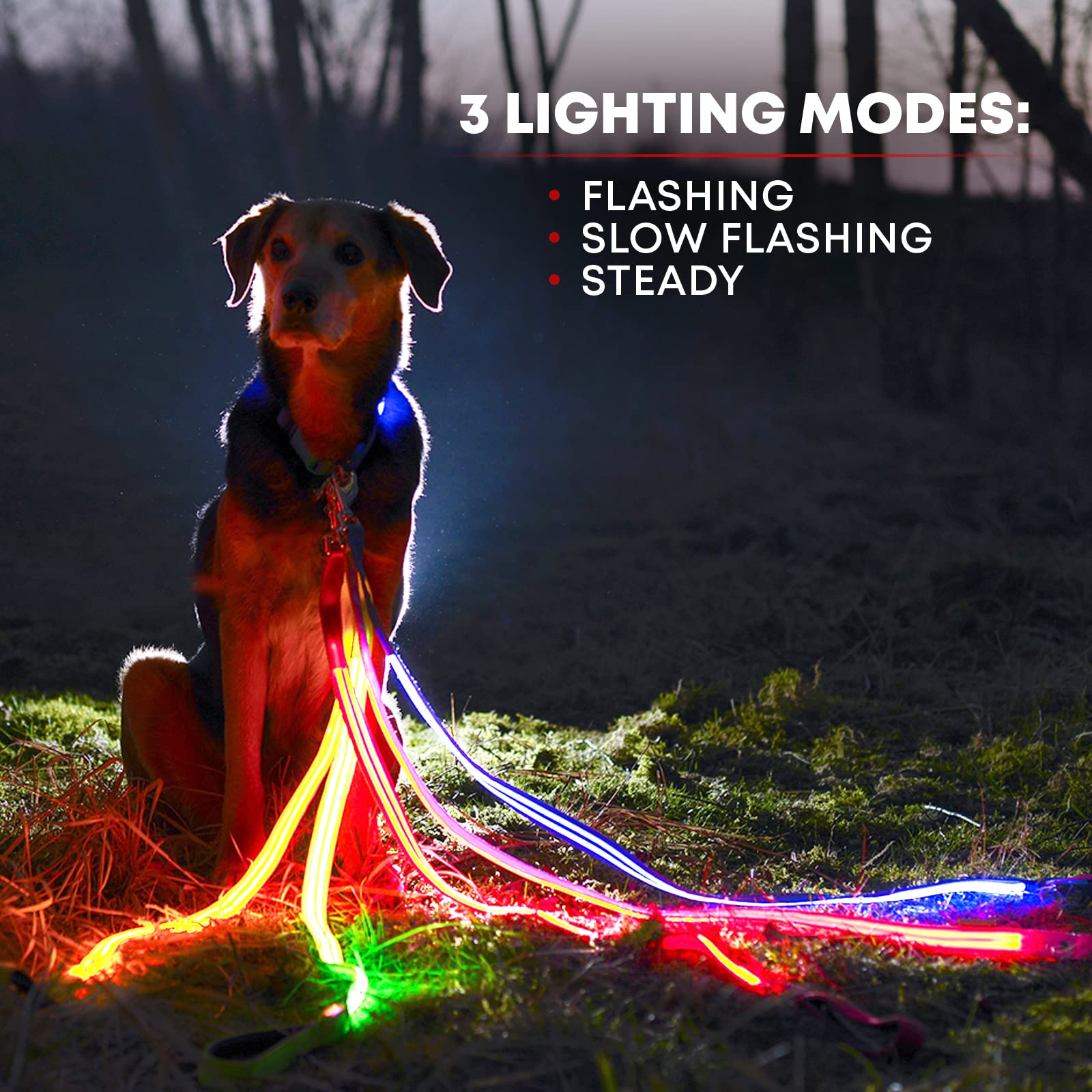 Illumiseen Led Light Up Dog Leash | Ultra High Visibility Up To 350 Yards | 3 Lighting Modes | Usb Rechargeable, No Batteries Ne