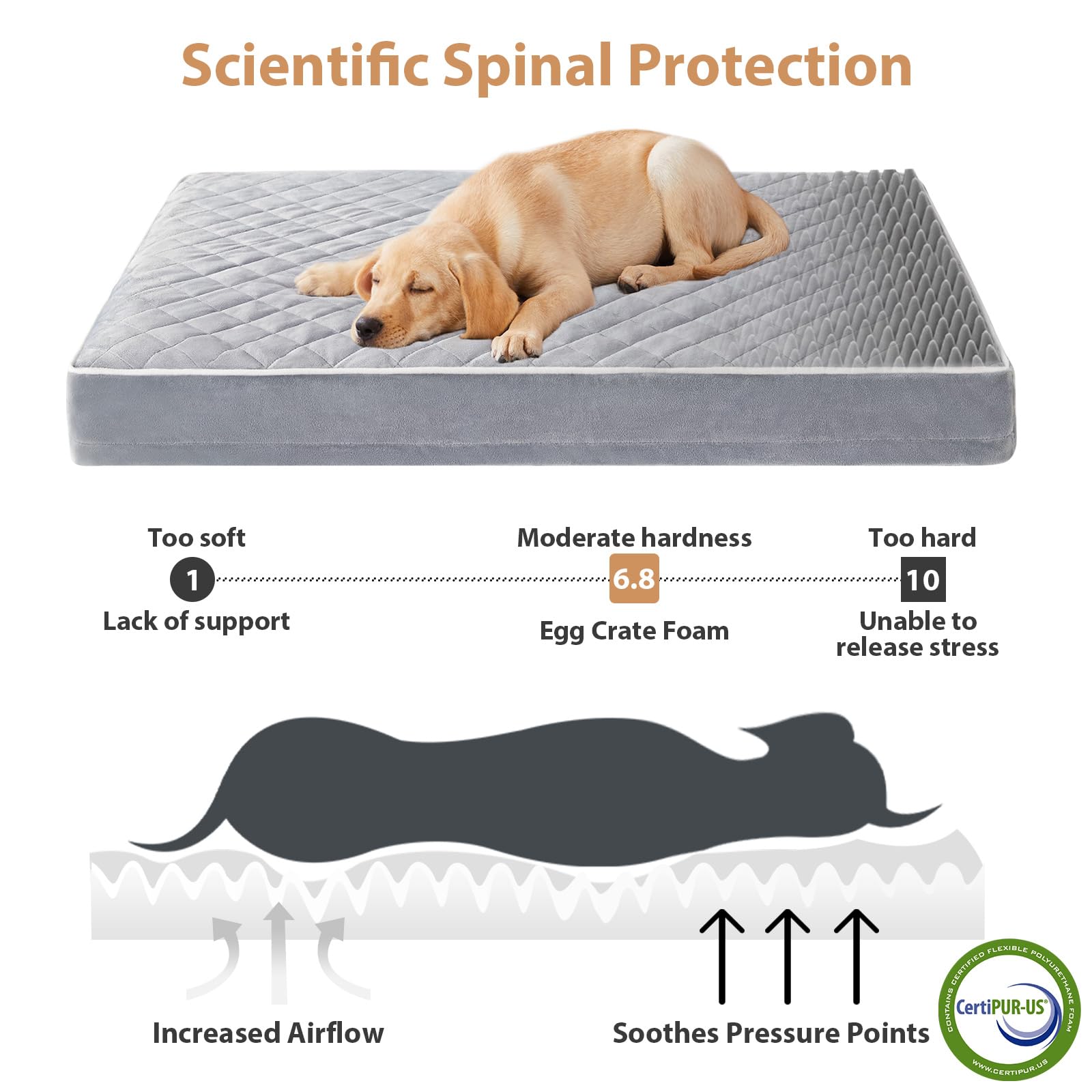 WNPETHOME Orthopedic Dog Bed Medium Size Dog, Waterproof Medium Dogs Bed with Removable Washable Cover, Multi-Needle Quilting Do
