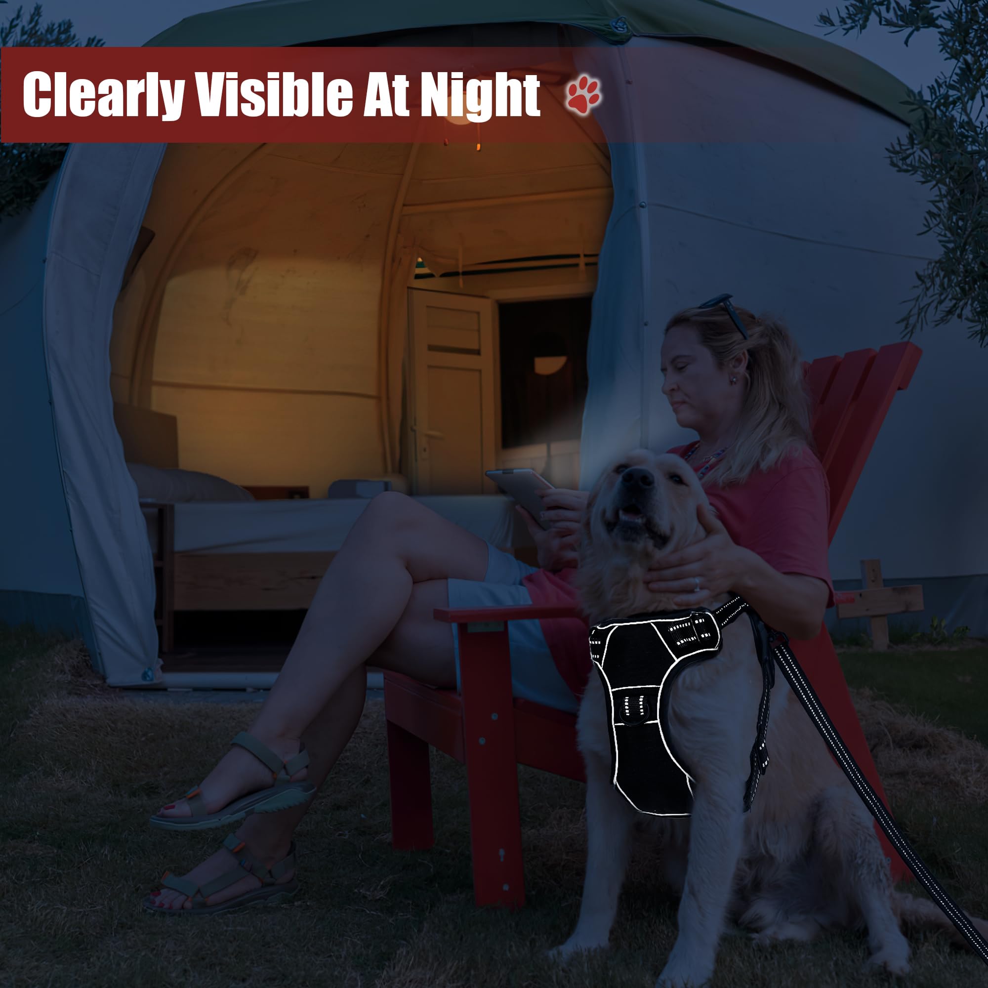 Yanvega Dog Harness No Pull Medium Size Dog Accessories, Dog Collars For Small Medium Size With 2 Leash Clips Safety Lock, Servi