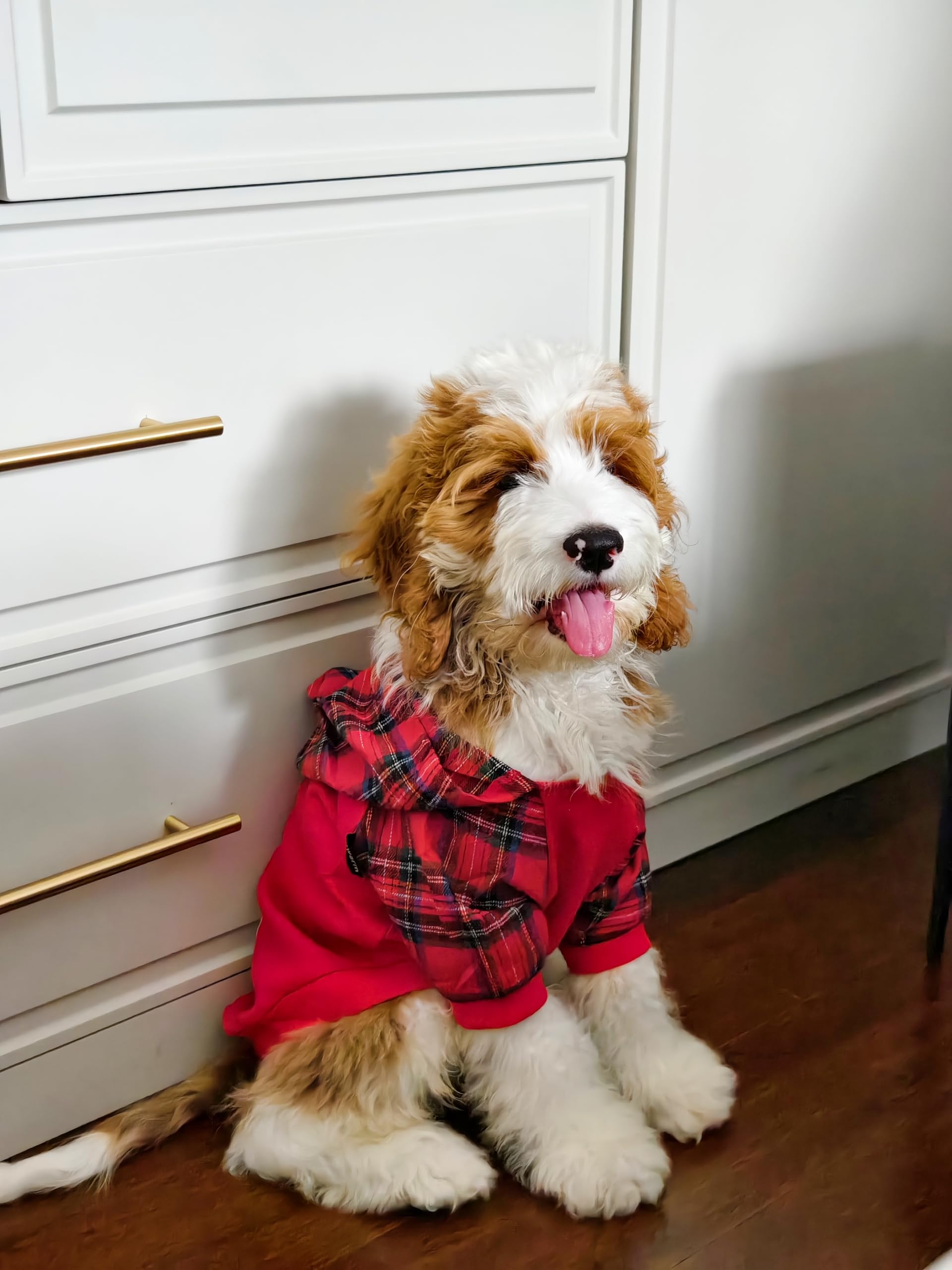 Fitwarm Tartan Plaid Dog Hoodie, Dog Clothes For Small Dogs Girl Boy, Pet Sweatshirt With Hood, Cat Winter Outfit, Red, Green, X