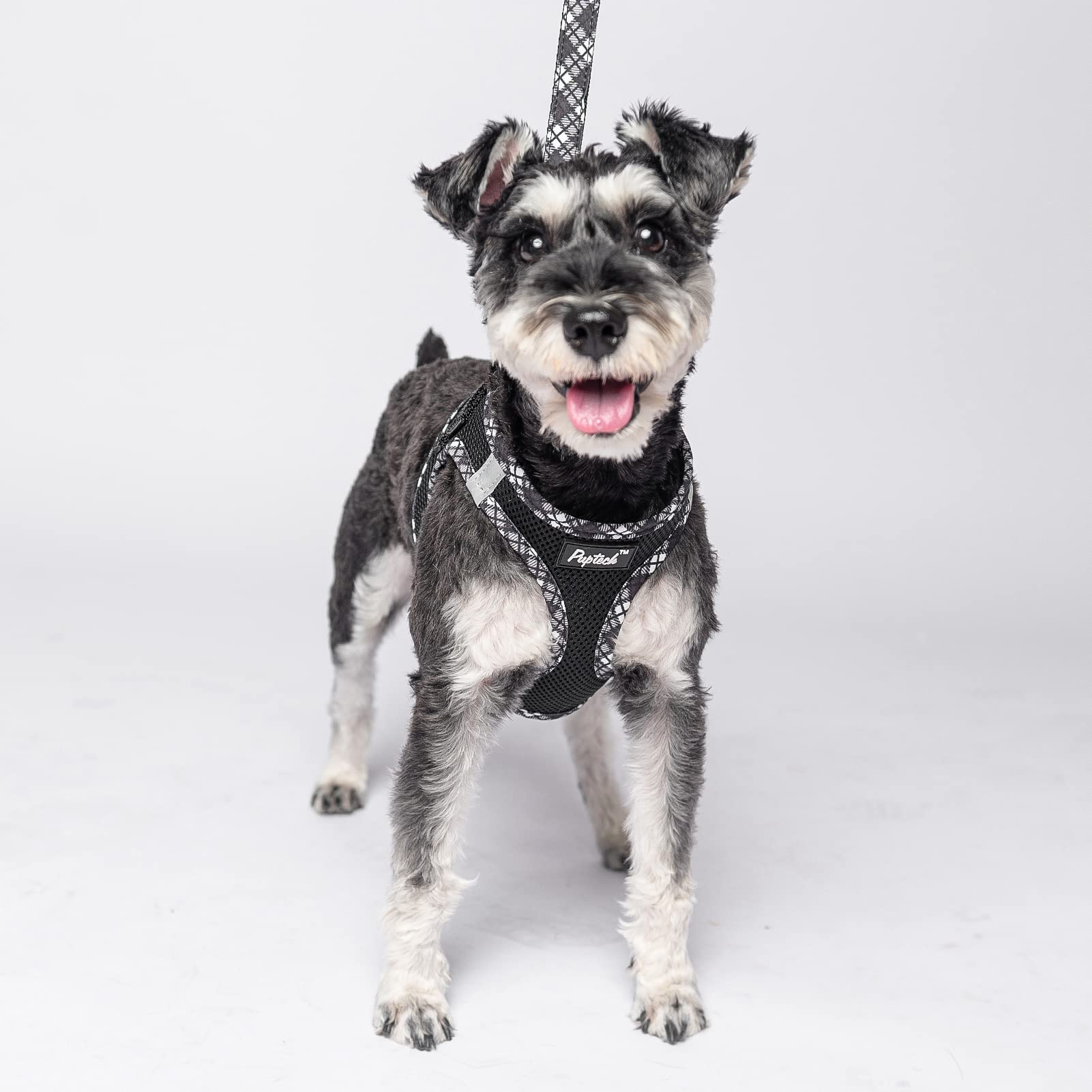 Pupteck Dog Harness And Leash Set For Small Medium Dogs No Pull Step-In Soft Mesh Puppy Cat Vest Harnesses Reflective At Night, Black L