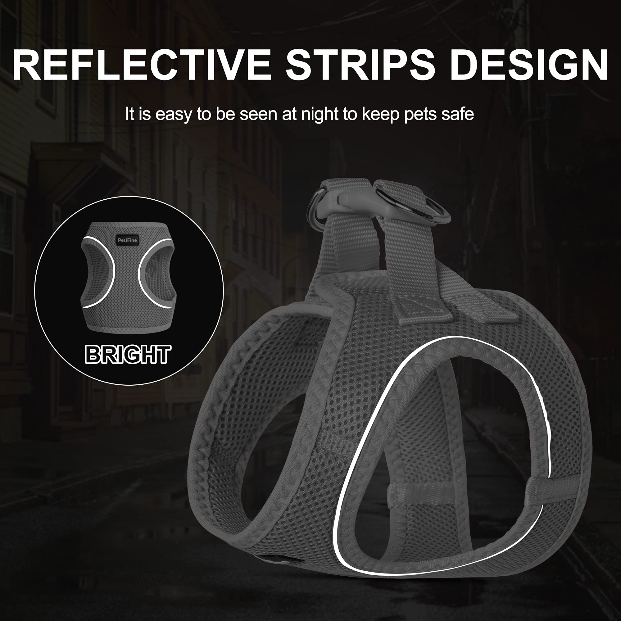 Petifine Extra Small Step In Dog Harness And Leash Set, Cat Harness And Leash Escape Proof, All Weather Mesh Reflective, Step-In Air Vest Harnesses For Puppy(Xxxs, Grey)