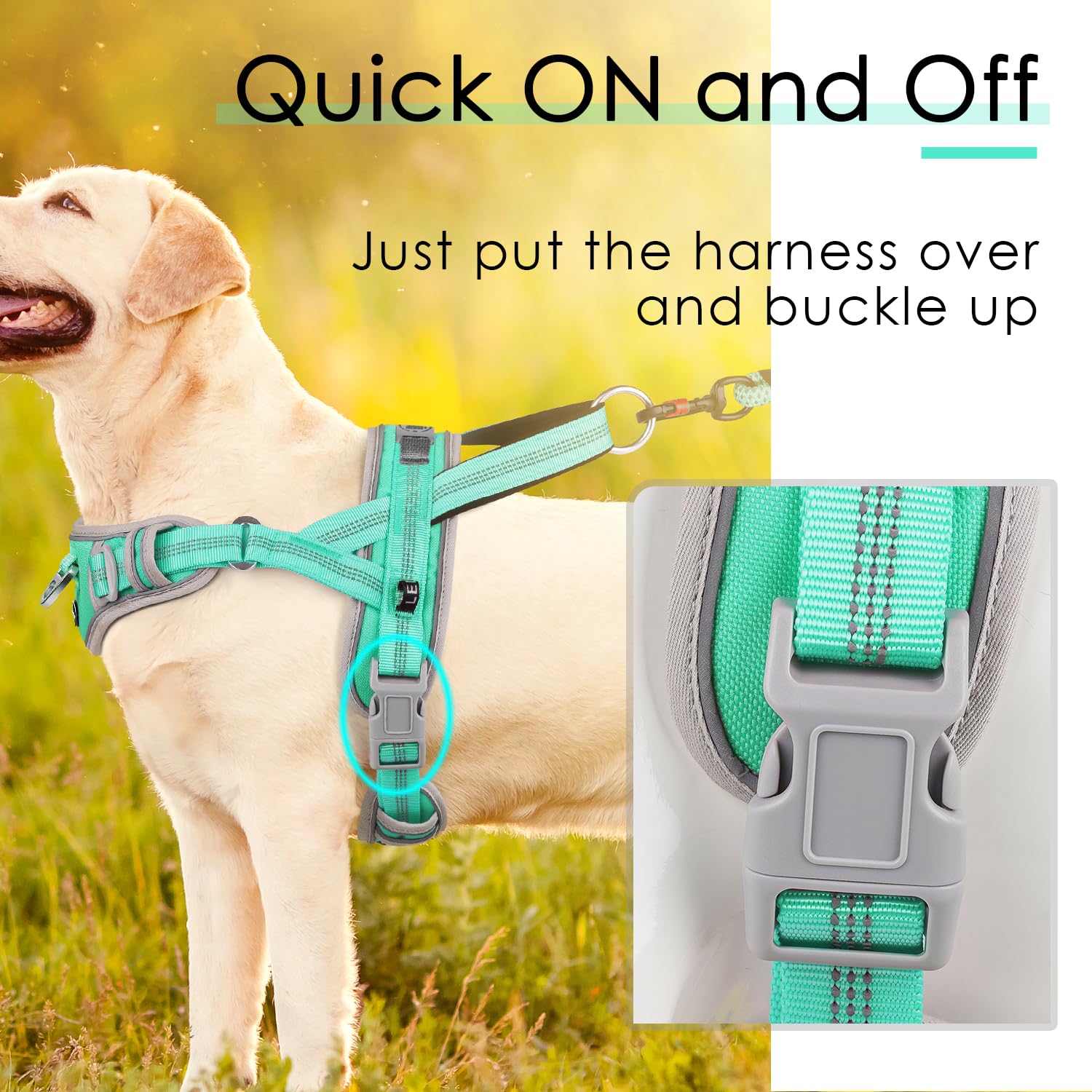 Adventuremore Small Dog No Pull Harness With Qr Code Tag, Reflective Vest, Front Clip Handle For Training Walking - L Teal