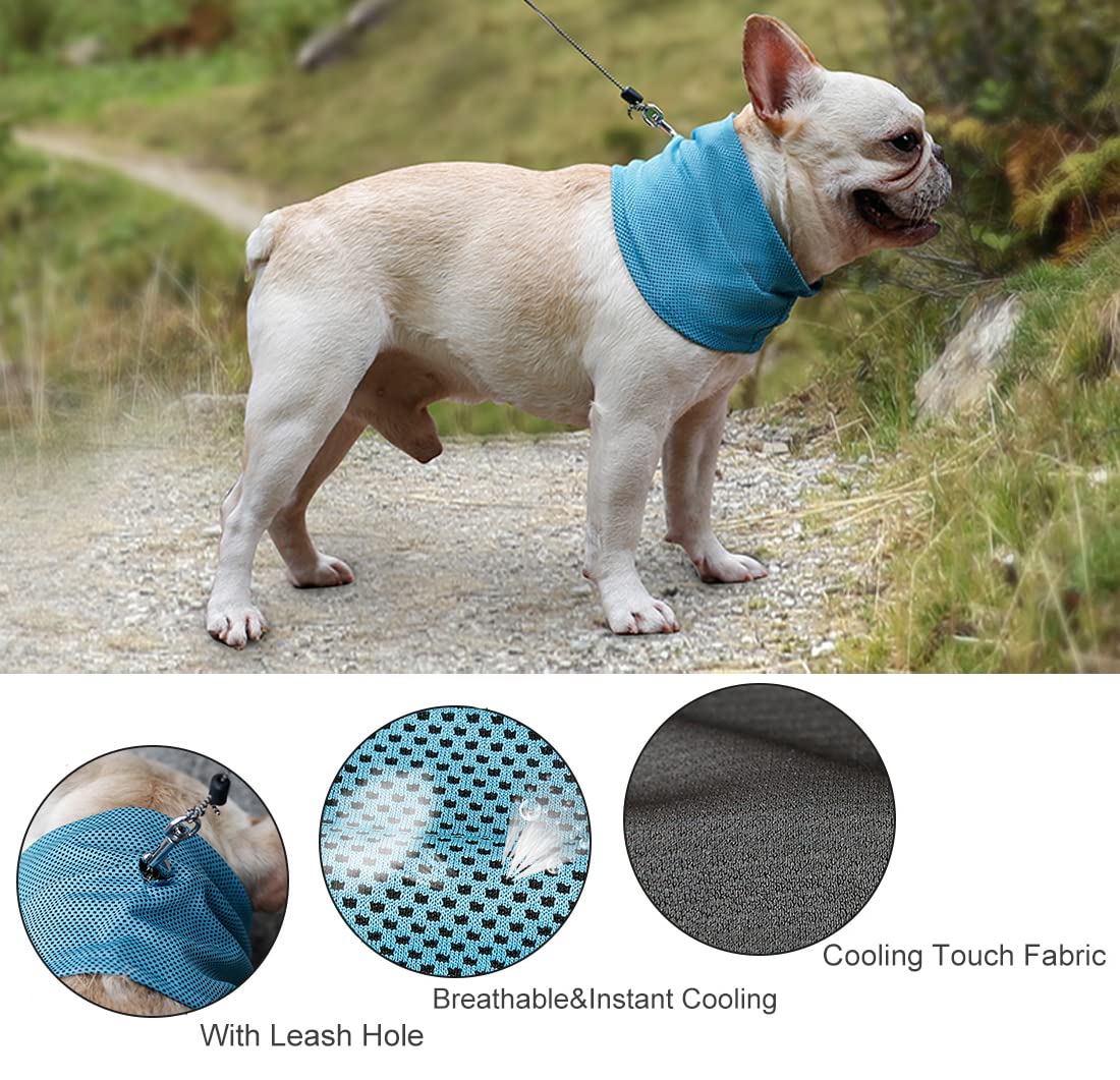 Pet Ice Band Dog Cooling Bandana For Dogs Cats Instant Cooling Collar Breathable Summer Scarf For Hot Days & Summer