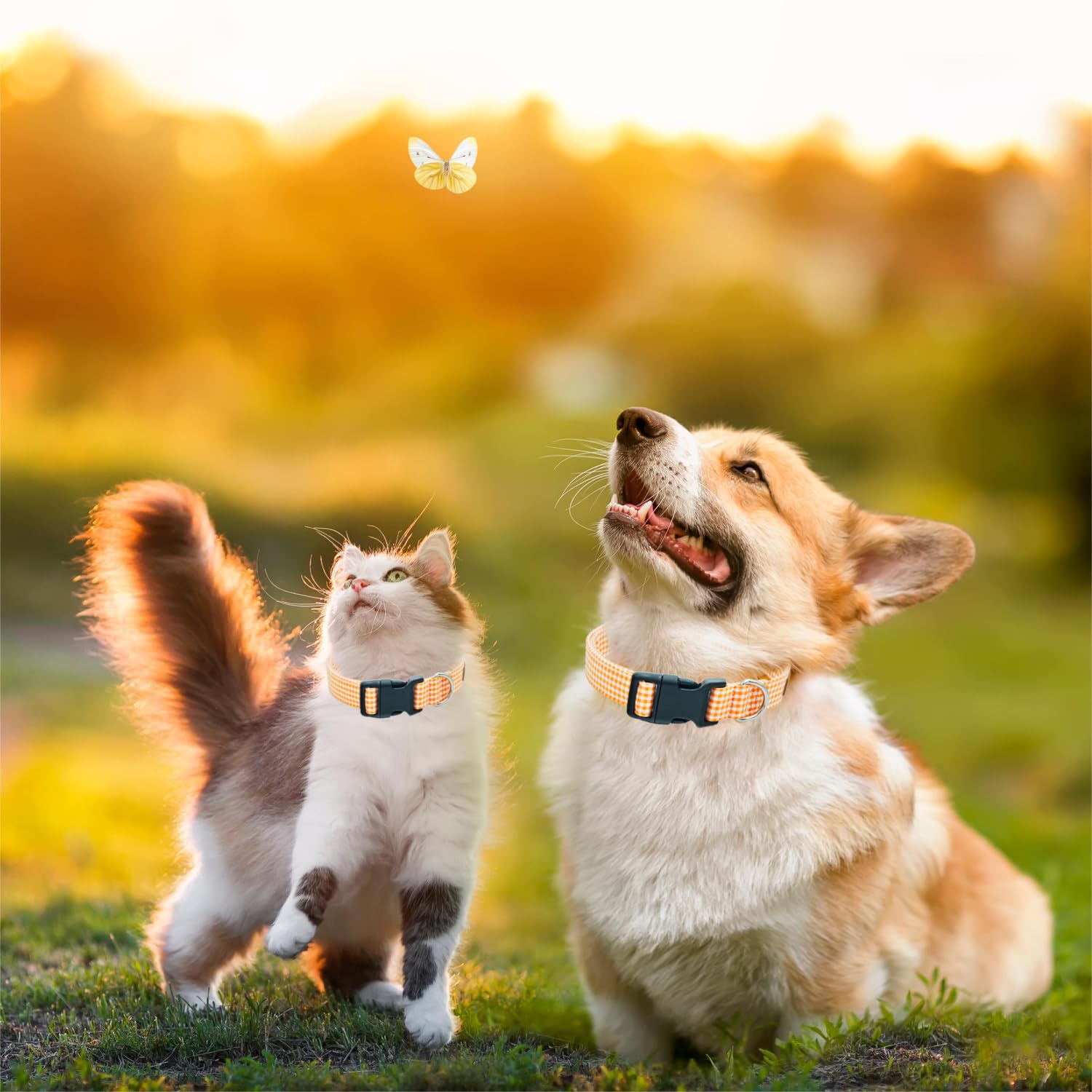 Tunkoo Orange Plaid Dog Collar Premium Cotton - Adjustable Collar With Strong Plastic Bucle Gifts For Small Medium Large Girl Bo