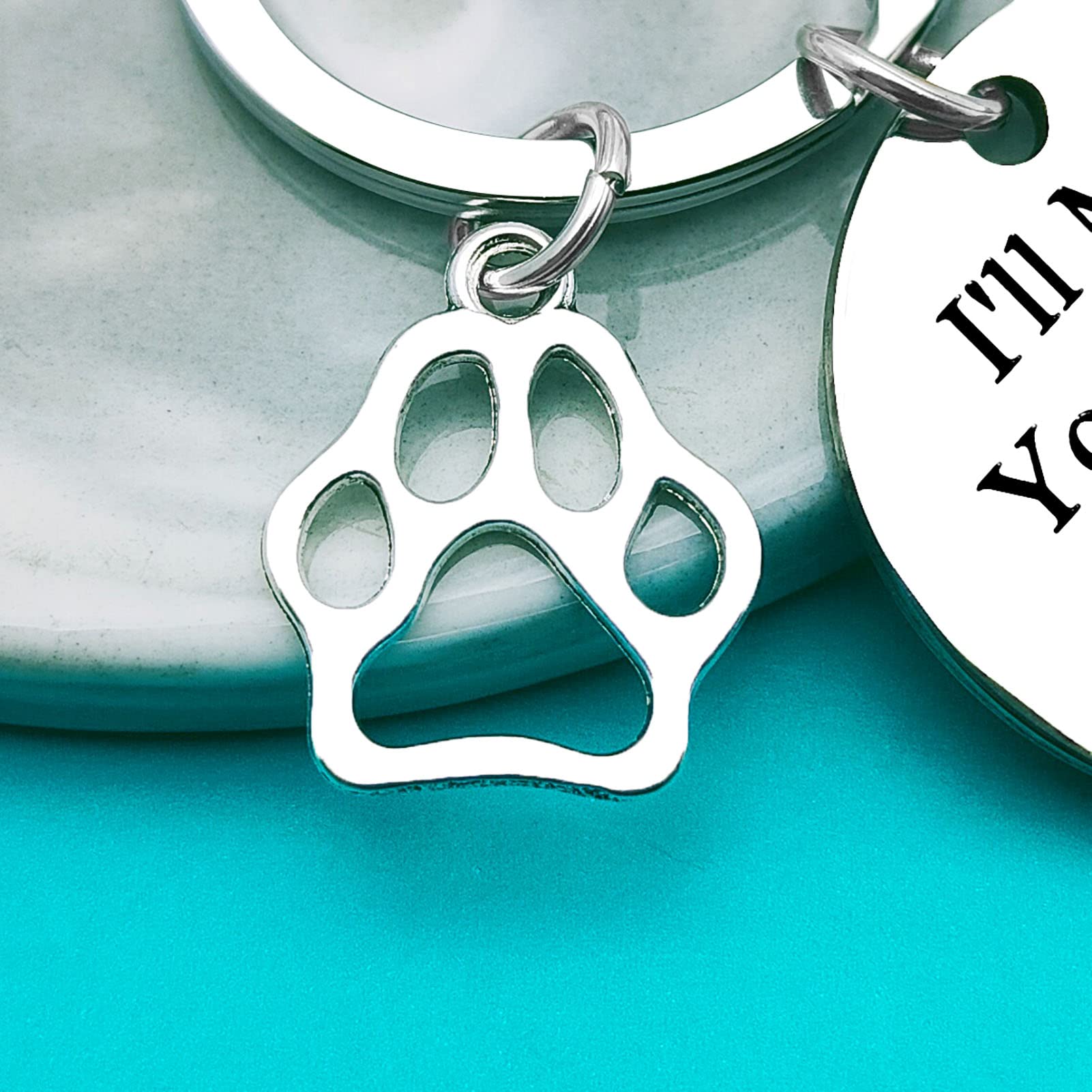 Xiahuyu Pet Memorial Keychain Pet Loss Gifts I'Ll Meet You At The Rainbow Bridge Keychain Cat Dog Memorial Gifts Pet Owner Remem