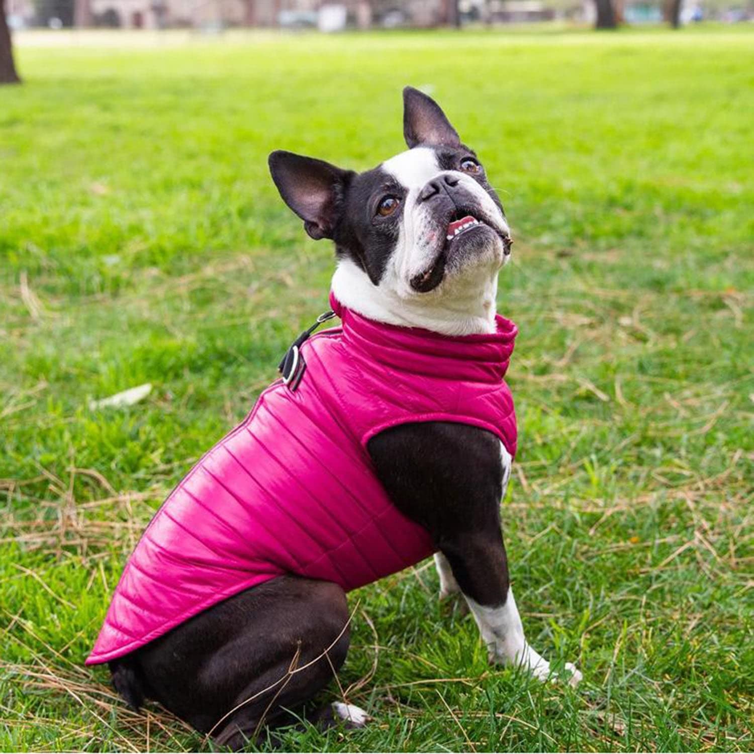 Gooby Puffer Vest Dog Jacket - Pink, Small - Ultra Thin Zip Up Wind Breaker With Dual D Ring Leash - Water Resistant Small Dog S