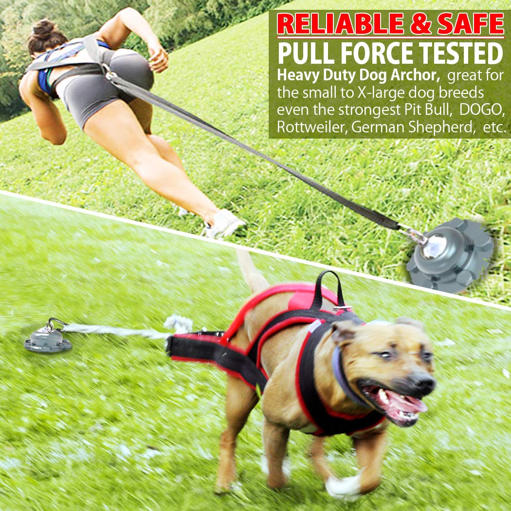 360° Swivel Dog Tie Out Stake Dog Anchor - 2025 Upgrade - Heavy Duty Stainless Steel Dog Yard Stake For Small To Large Dogs 6 Pcs Dog Tethers Holds 1500Lbs Of Pull Force Great For Yard Camping Outdoor