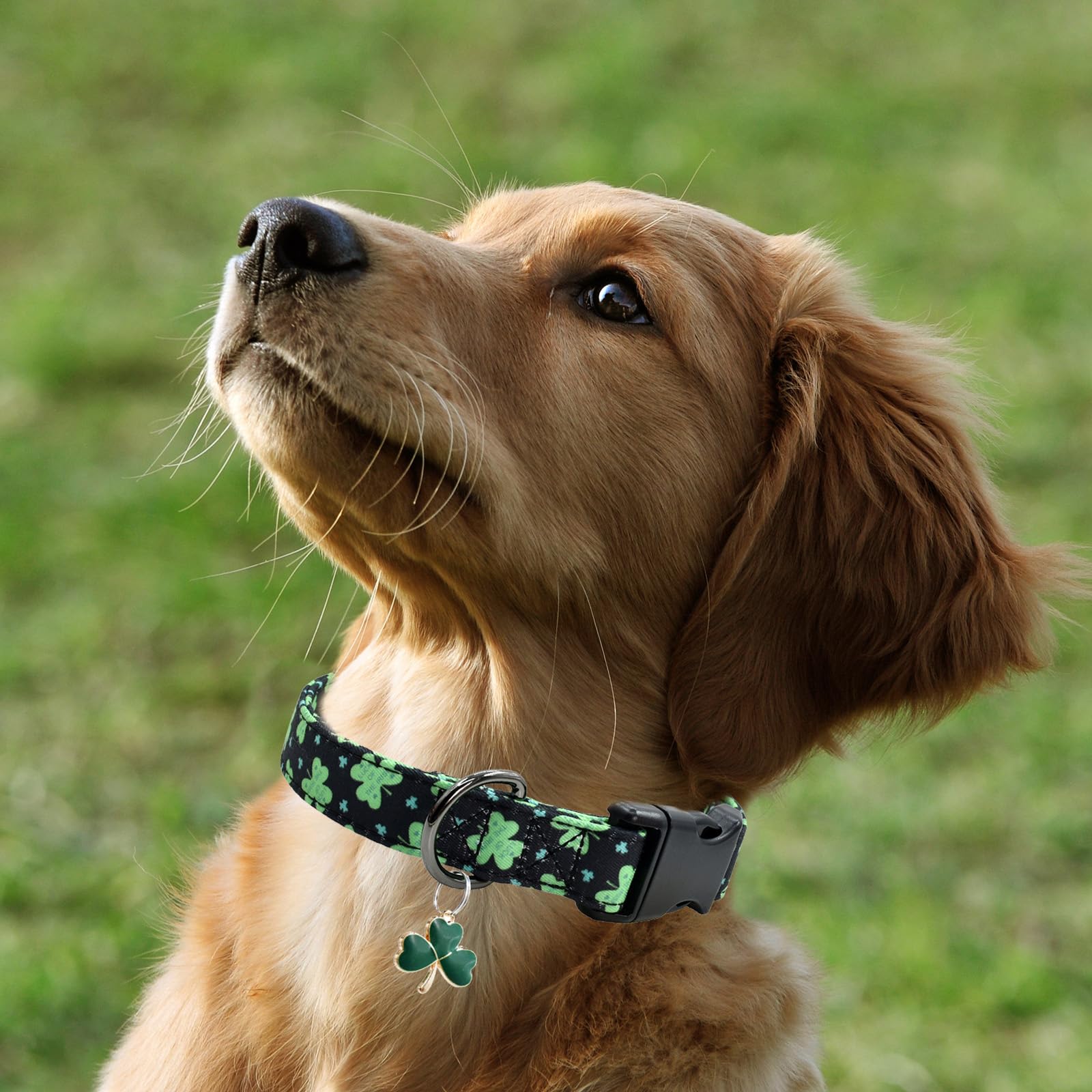 Clover Patterns Dog Collar With Accessories, Durable And Soft Cotton Dog Collars For Small Large Female And Male Dogs Pets(Green