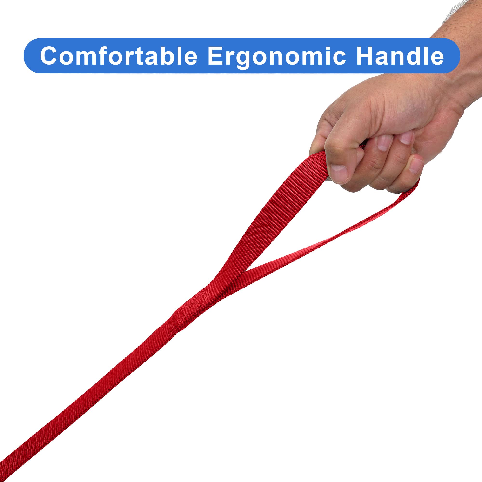 Pawtitas 6 Ft Solid Color Leash For Puppy Leash Dog Leash Comfortable Handle Dog Training Leash 6 Ft Dog Leash Extra Small Dog Leash/Small Dog Leash Red Dog Leash
