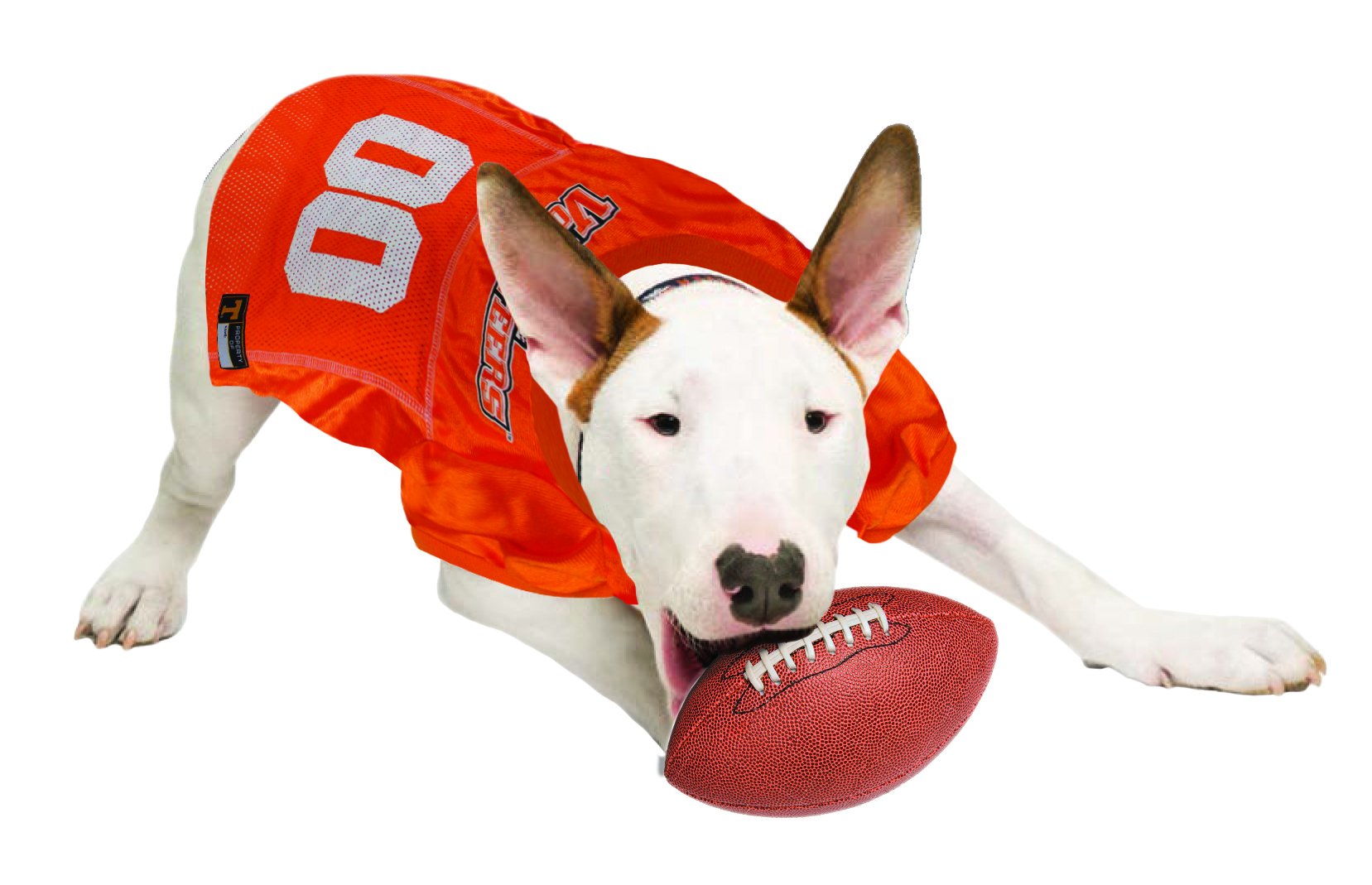 Pets First NCAA TENNESSEE VOLUNTEERS DOG Jersey, Large. BEST Football/Basketball Pet Outfit for the die-hard fans of the TENNESS