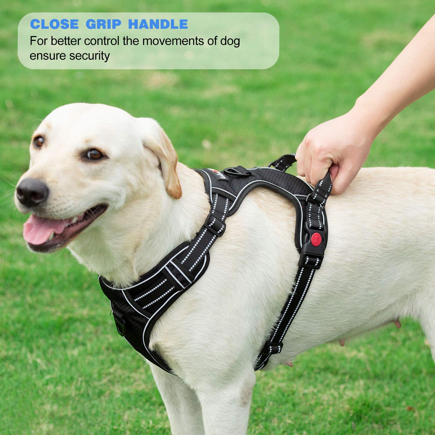 Tobedri No Pull Dog Harness Adjustable Reflective Oxford Easy Control Medium Large Dog Harness With A Free Heavy Duty 5Ft Dog Leash (L (Neck: 18'-25.5', Chest: 24.5'-33'), Blue Harness+Leash)
