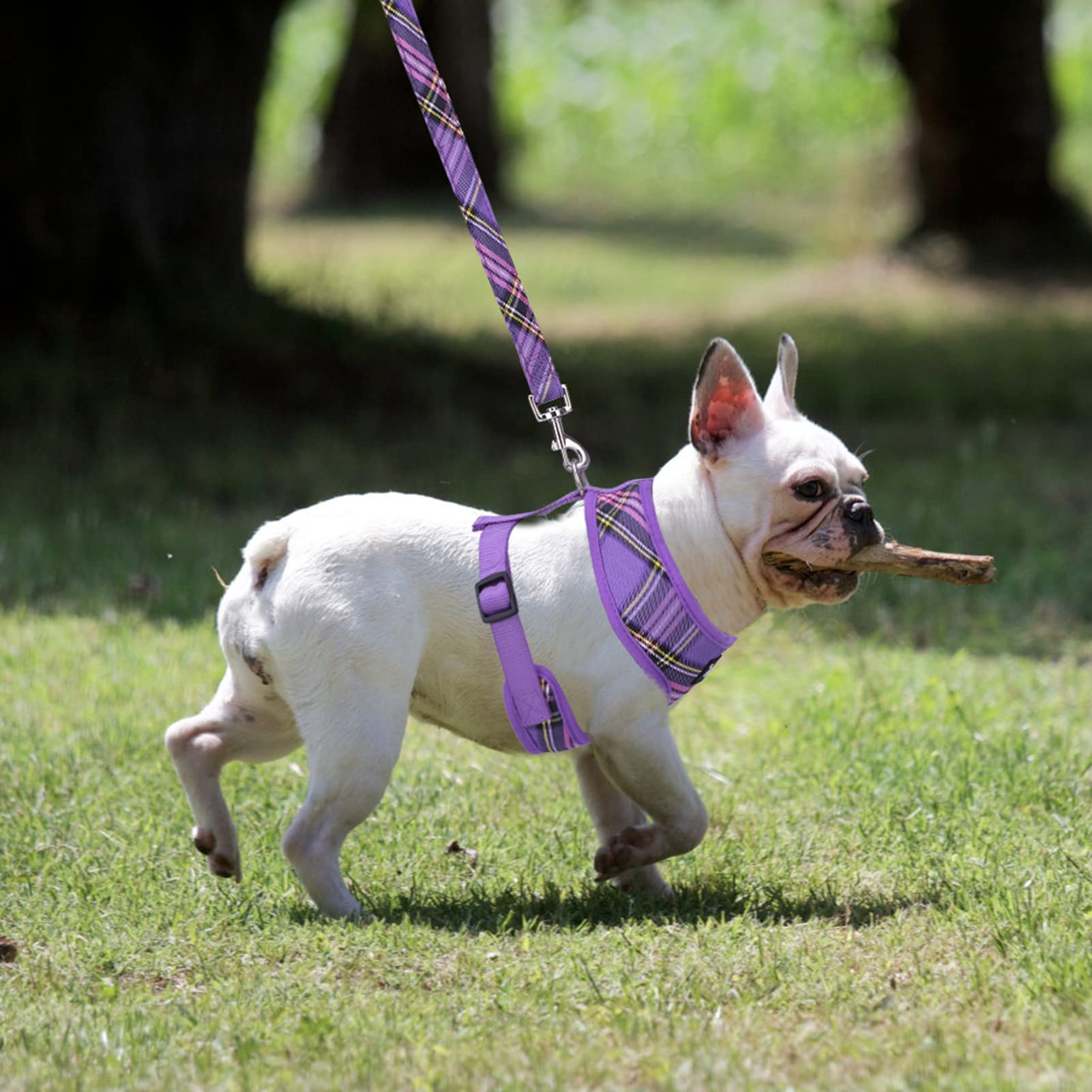 Pupteck Soft Mesh Dog Harness And Leash Set Pet Puppy Cat Comfort Padded Vest No Pull Harnesses, Purple, S