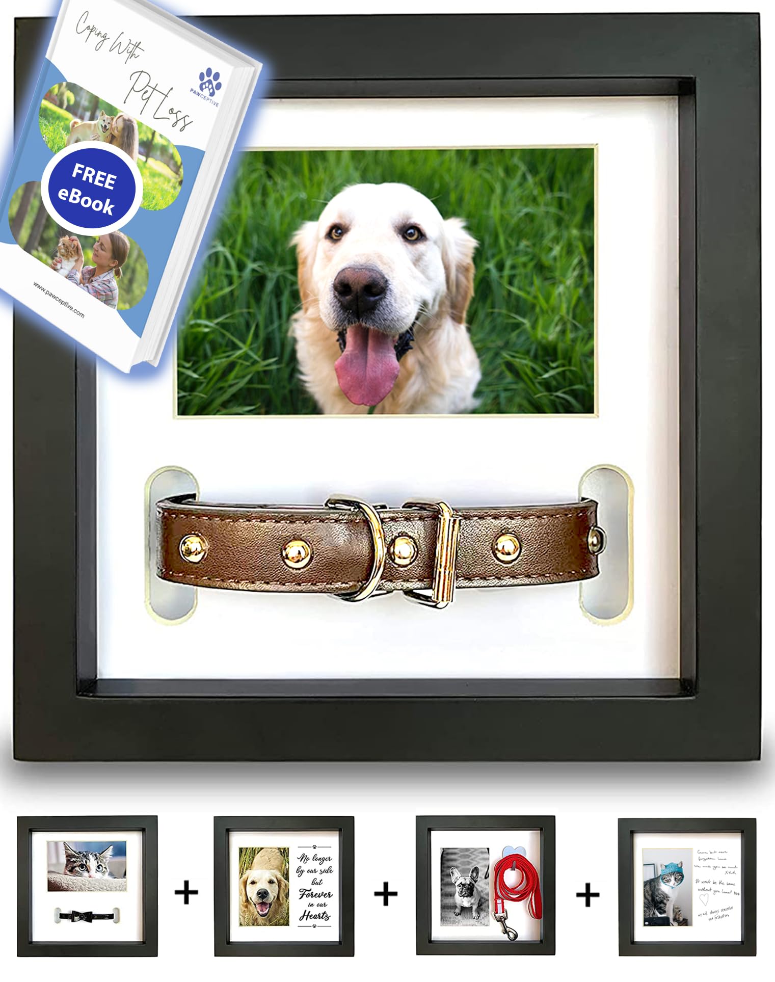 Pawceptive Dog Memorial Picture Frame With 5 Display Options- Dog Collar Memorial Frame Gift - Cat Or Dog Pet Loss Gift For A Grieving Friend - Pet Remembrance Gift And Sympathy Photo Keepsake