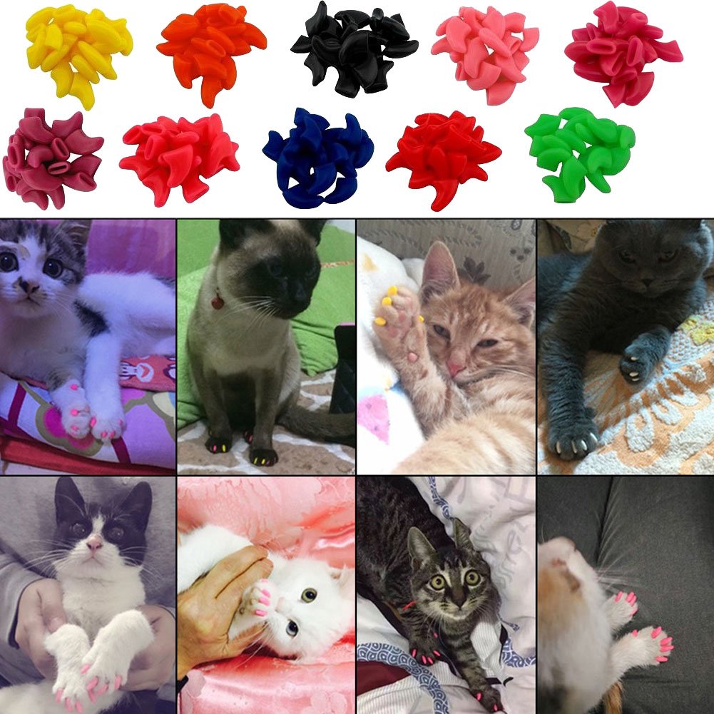 Victhy 100Pcs Cat Nail Caps, Cat Claw Caps Covers With Glue And Applicators Extra Small/Kitten 5 Colors, 20 Pcs/Color