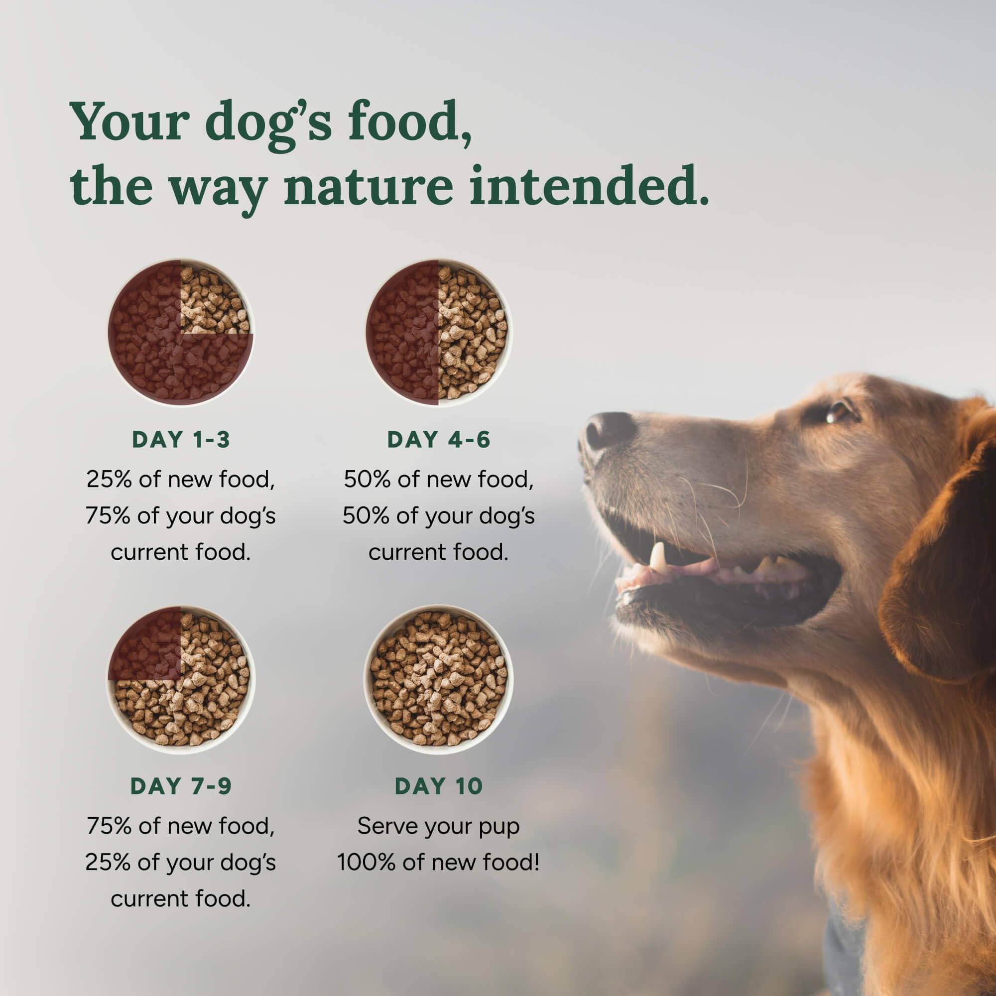 360 Pet Nutrition Freeze-Dried Raw Dog Food, High-Protein Complete Meal w/Beef, Chicken, Fish, Organs, Superfoods, No Fillers, 1