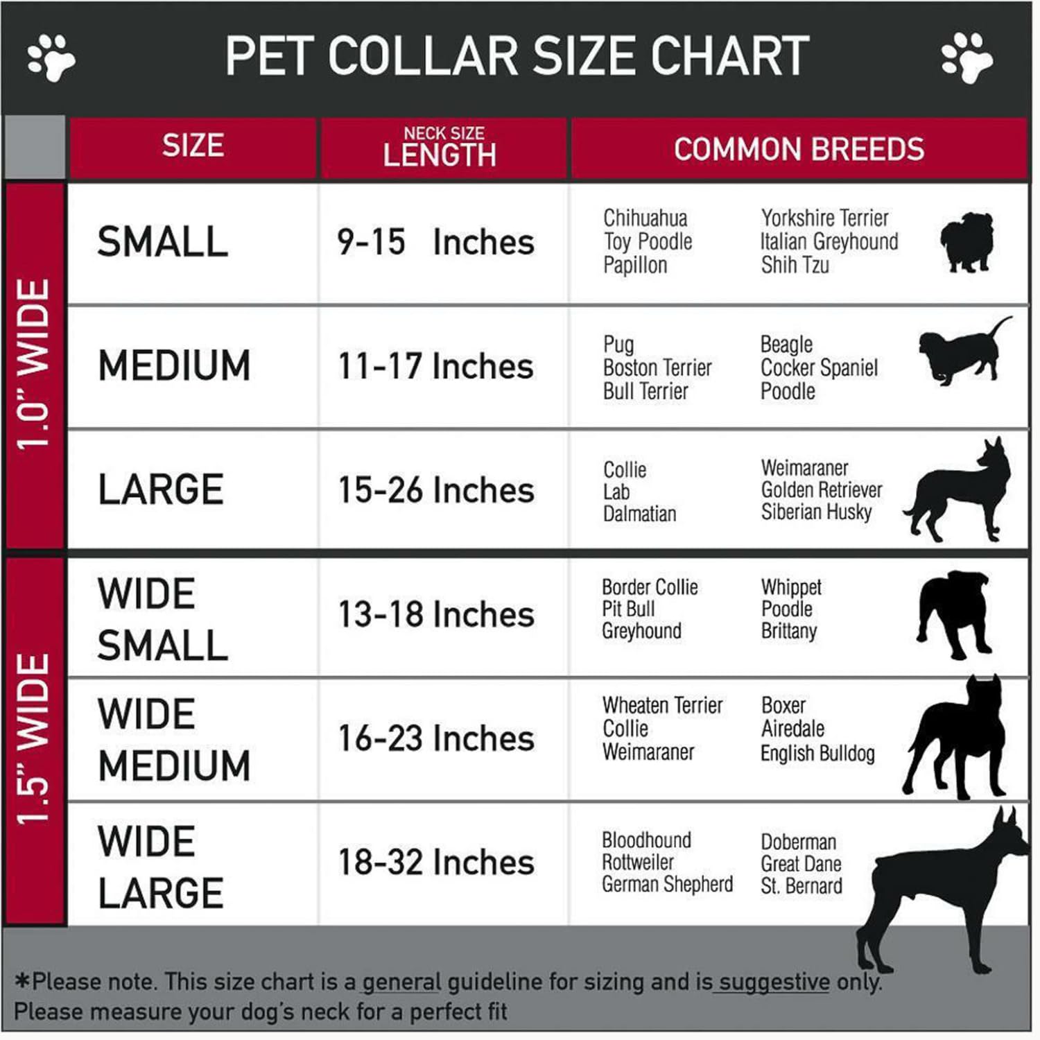 Initial Letter Cuban Chain Dog Chain Pet Chain Pet, Cat, Puppy Necklace (S, 18'')