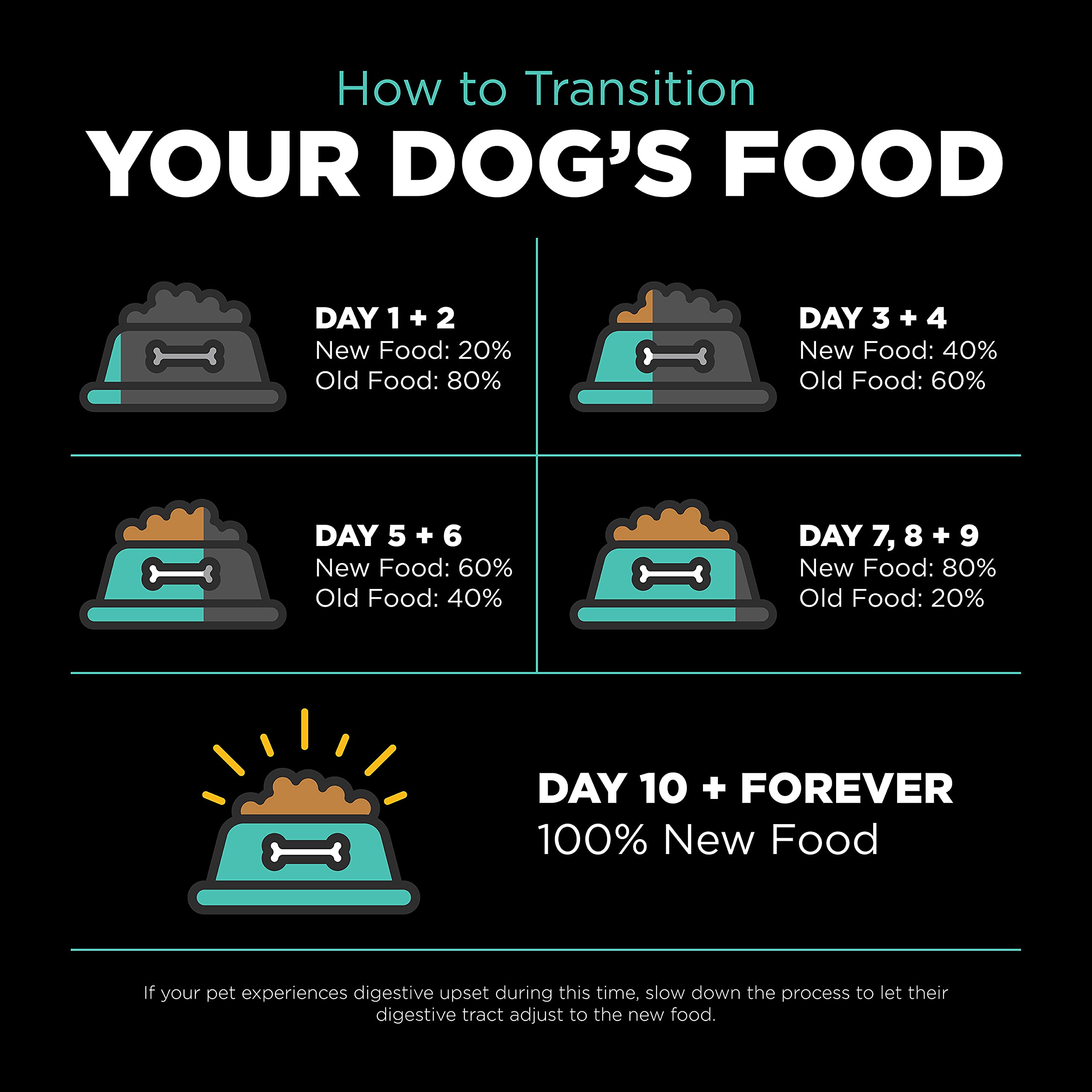 Go! Solutions Carnivore Chicken, Turkey & Duck Grain-Free Dog Food, 22 lb Bag, High-Protein Kibble with Pumpkin & Probiotics
