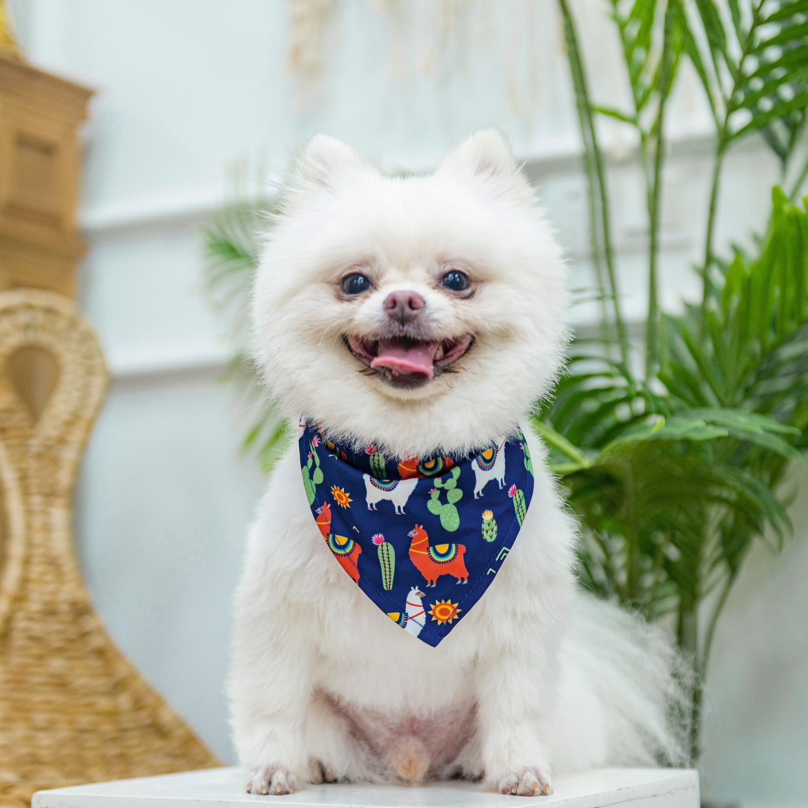 Pupteck Adjustable Dog Harness Collar And Leash Set, Step In No Pull Pet Harness For Small Medium Dogs Puppy Cats Outdoor Walking, Soft Mesh Padded Reflective Vest Harnesses, Navy Blue Alpaca, Xxs