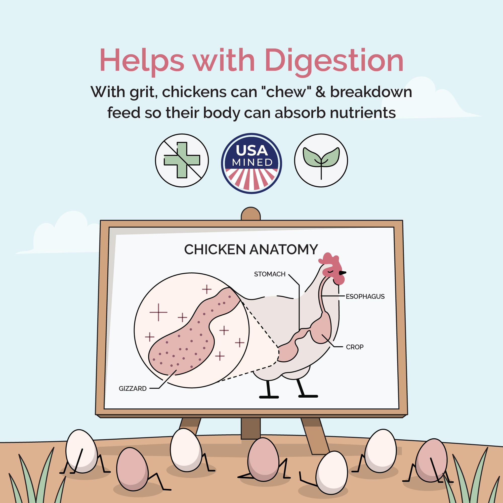 Mile Four Chicken Grit for Layer & Grower Chickens Age 8-20+ Weeks - 100% Natural Mineral Chicken Grit Quartzite, Poultry Grit,