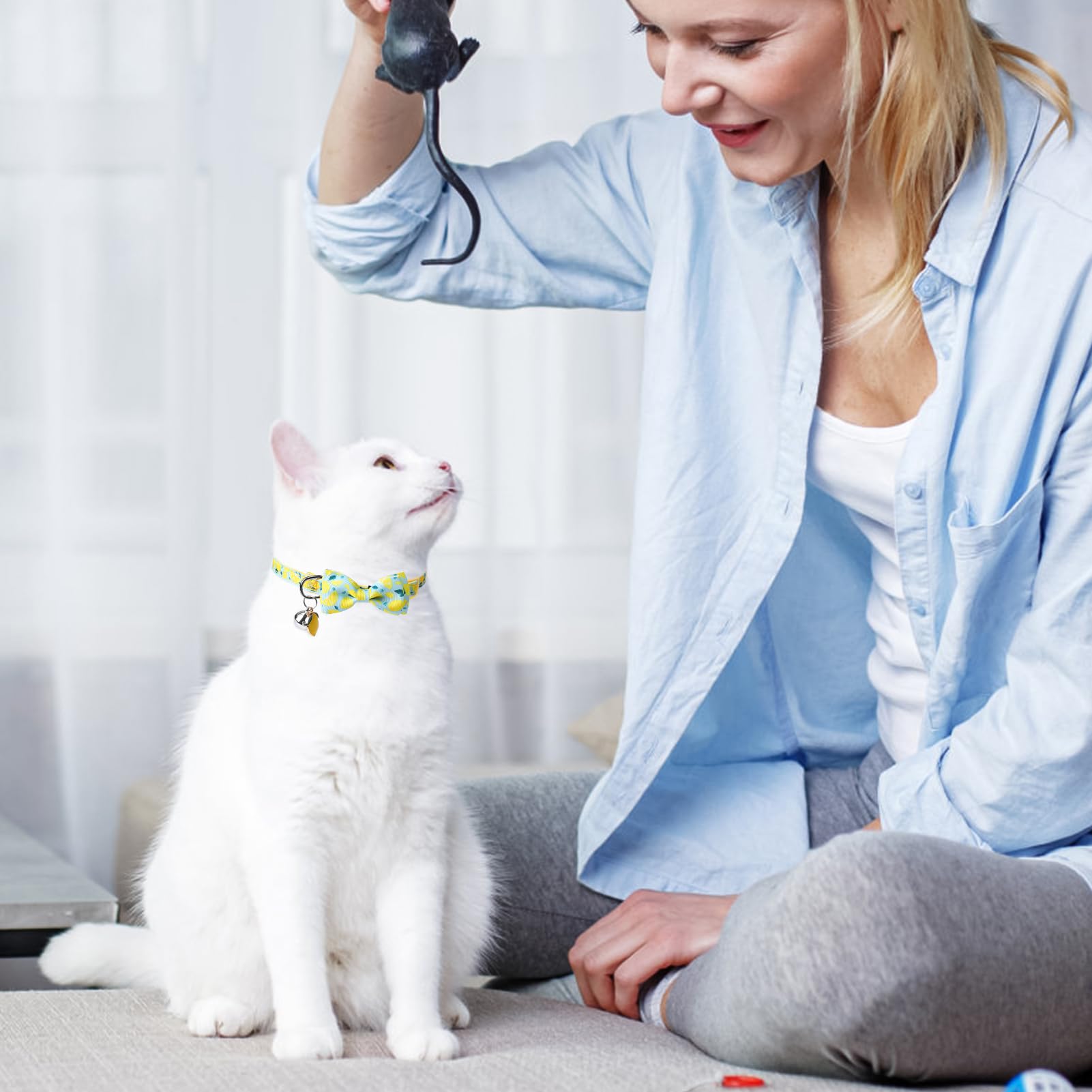 Scenereal Breakaway Cat Collar With Bell, 2 Pack Safety Adjustable Cat Collars With Pendant, Personalised Puppy Kitten Collar Wi