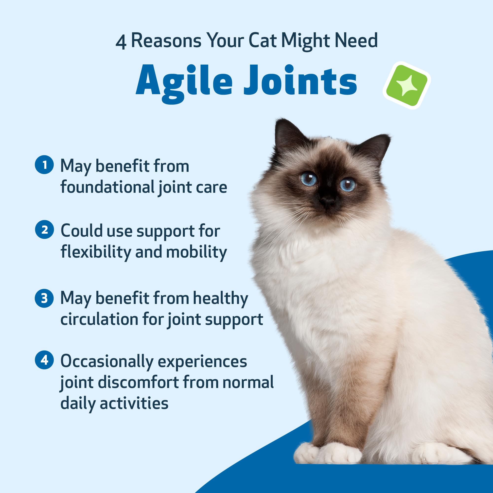 Pet Wellbeing Agile Joints for Cats - Veterinarian-Formulated - Hip and Joint Health, Mobility, Devils Claw, Boswellia, Joint Li