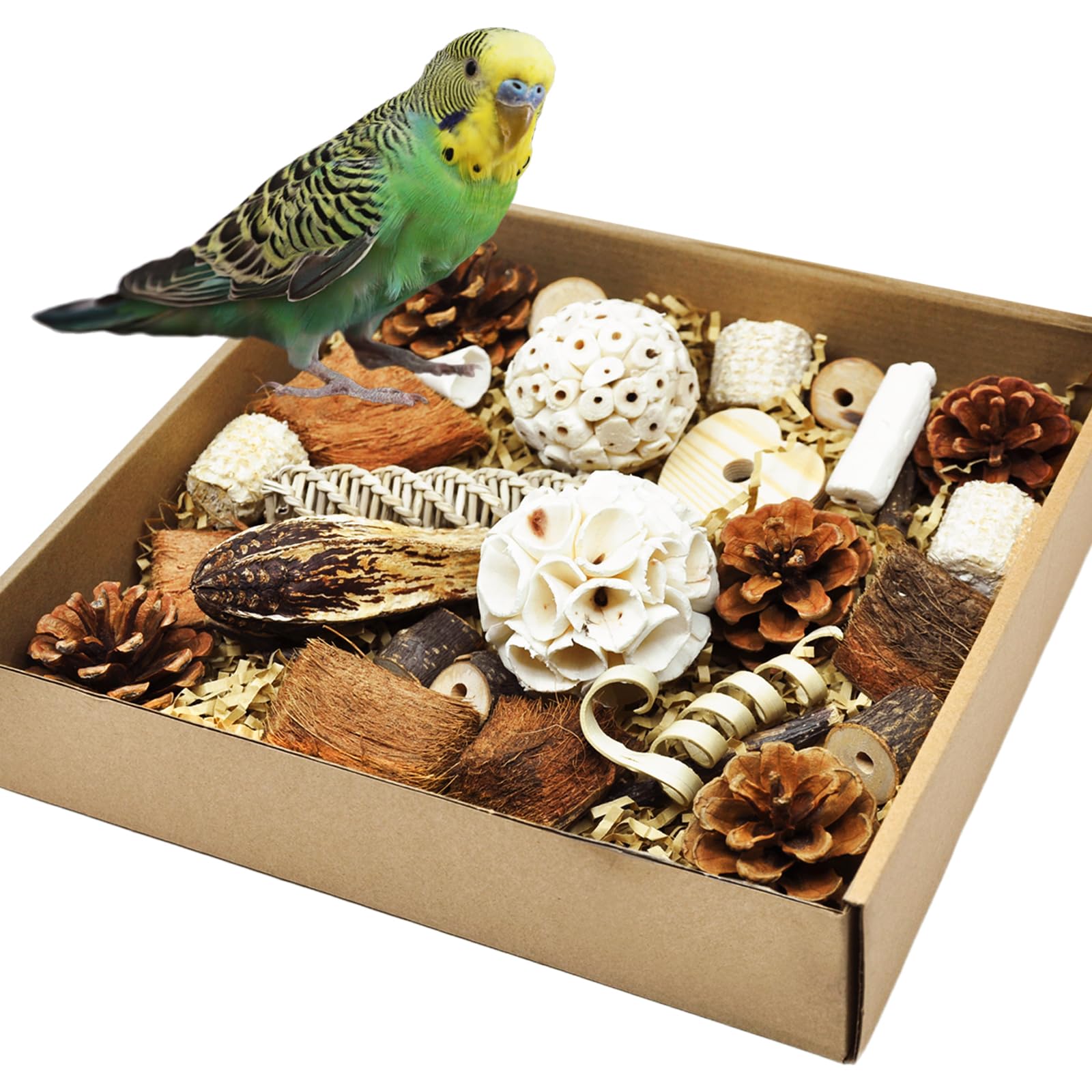 HOSUKU Natural Bird Foraging & Parrot Shredding Toys Box - Interactive Chewing and Foraging Toys for Parakeets, Cockatiels, Conu
