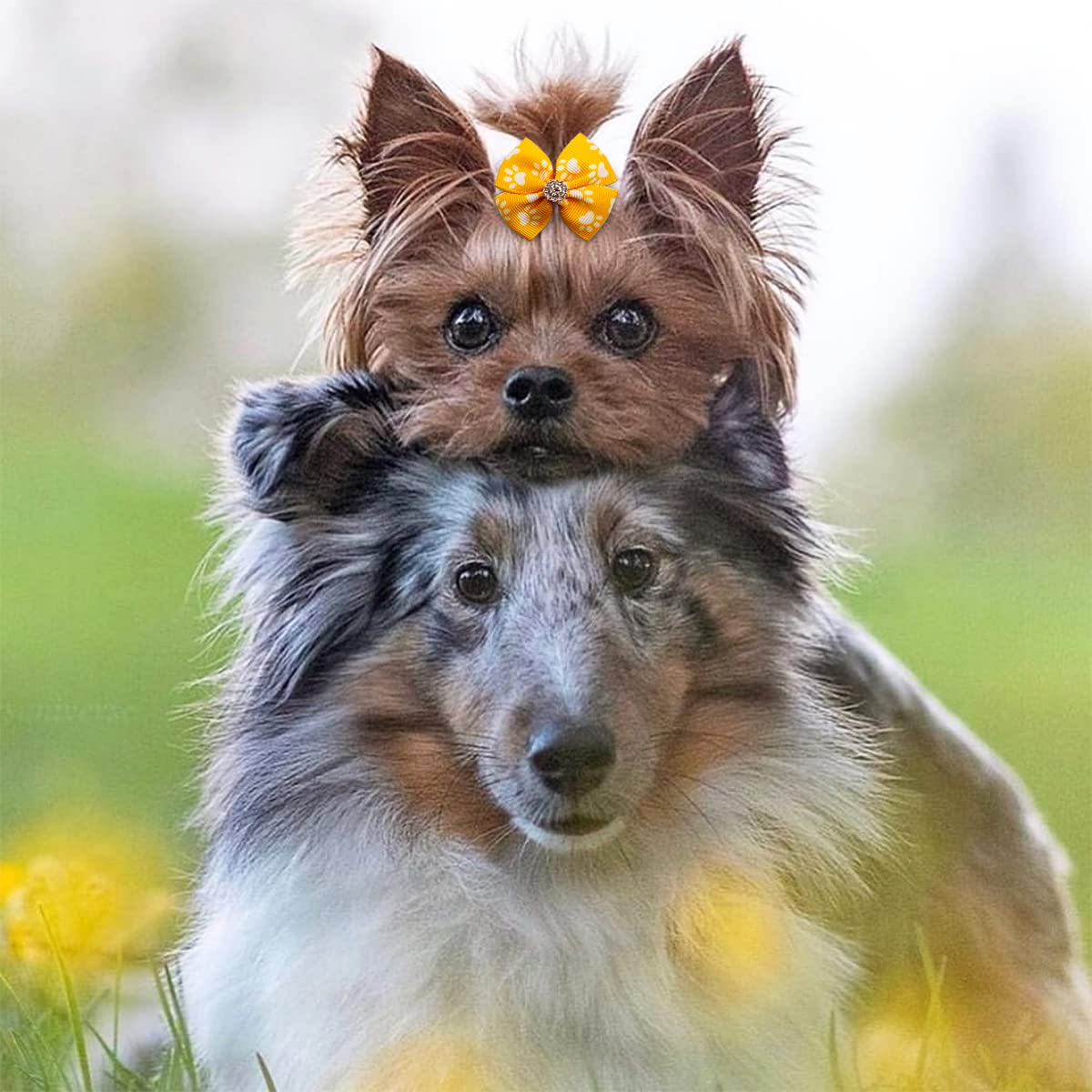 Pet Show 50Pcs/25Pairs Paw Pattern Small Dog Hair Bows Bulk With Rubber Bands For Medium Dogs Cats Puppy Shih Tzu Rhinestone Bowknot Topknot Yorkies Rabbits Girl Boy Pet Grooming Hair Accessories