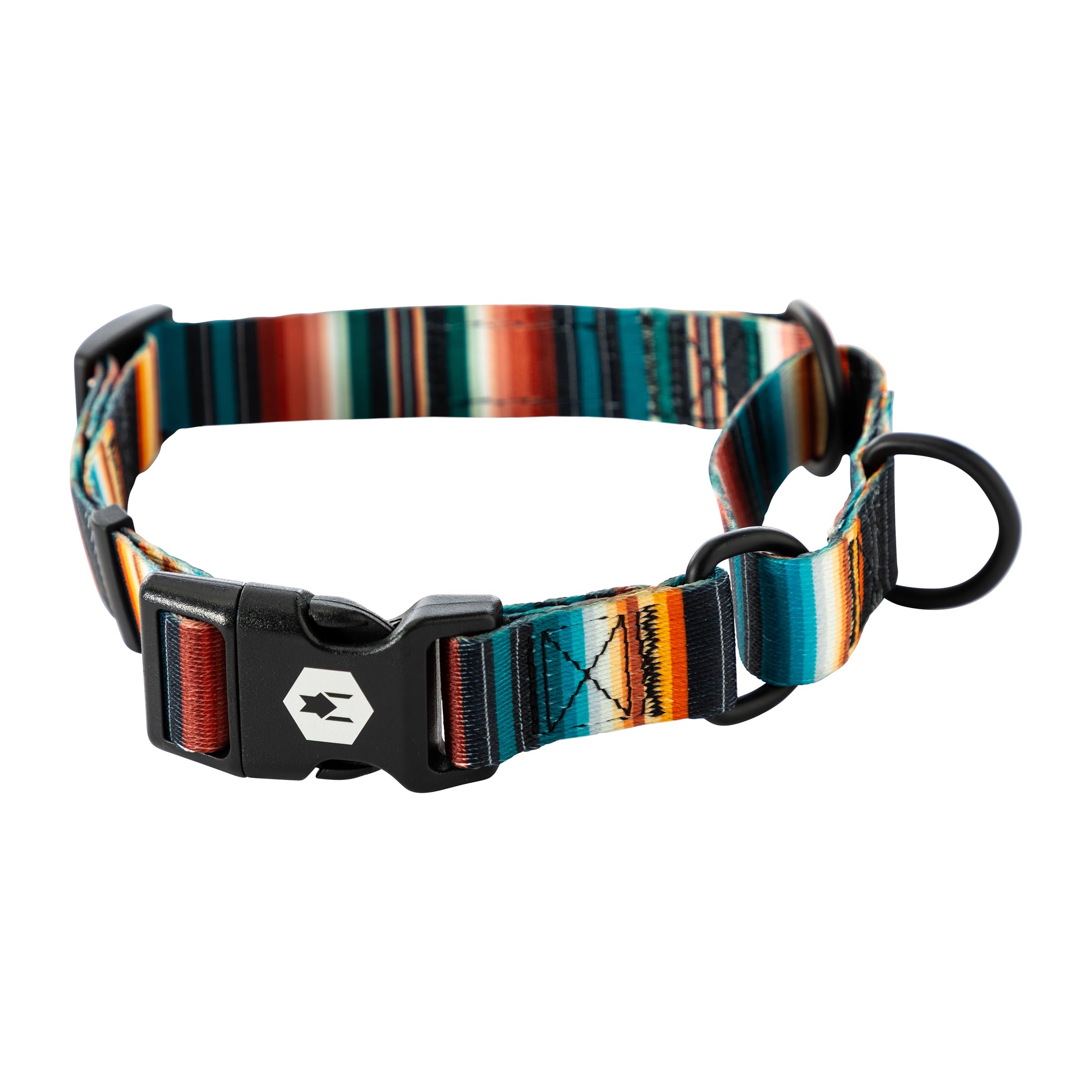 Wolfgang Heavy Duty Martingale Dog Collar With Quick Release Nylon Buckle For Walking & Training, Lostart Print, Medium