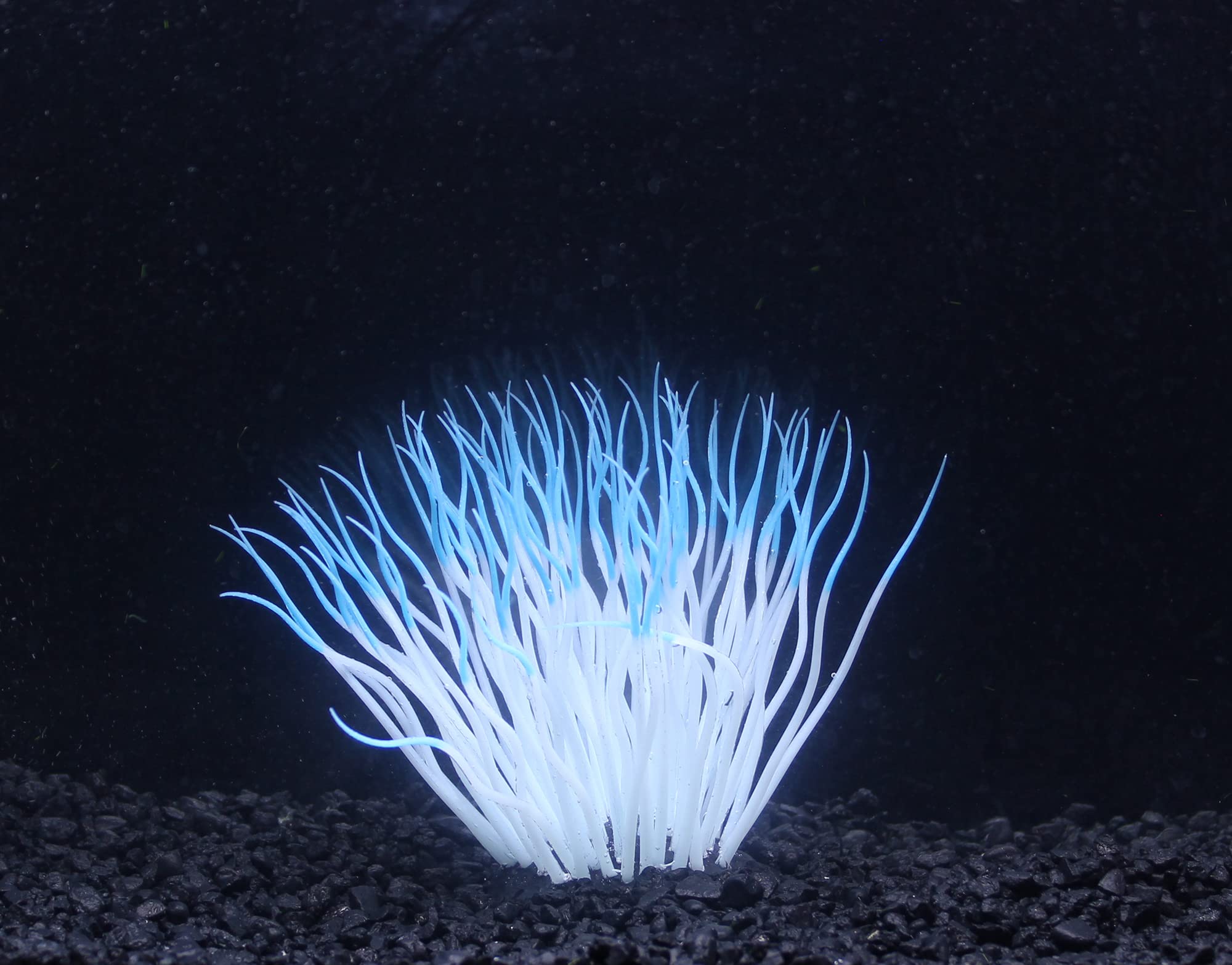 Penn-Plax Aquaplants Artificial Soft Silicone Sea Anemone Aquarium Plant Blue, 1Ea/One Size - Pds-030172102462