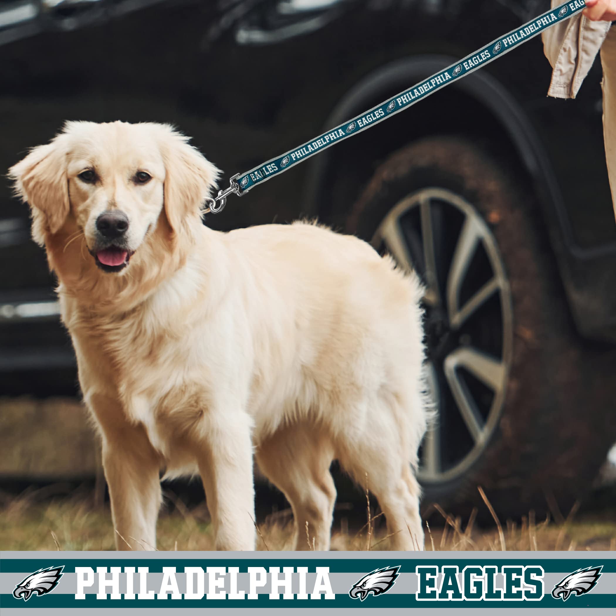 Nfl Pet Leash Philadelphia Eagles Dog Leash, Large Football Team Leash For Dogs & Cats. A Shiny & Colorful Cat Leash & Dog Leash