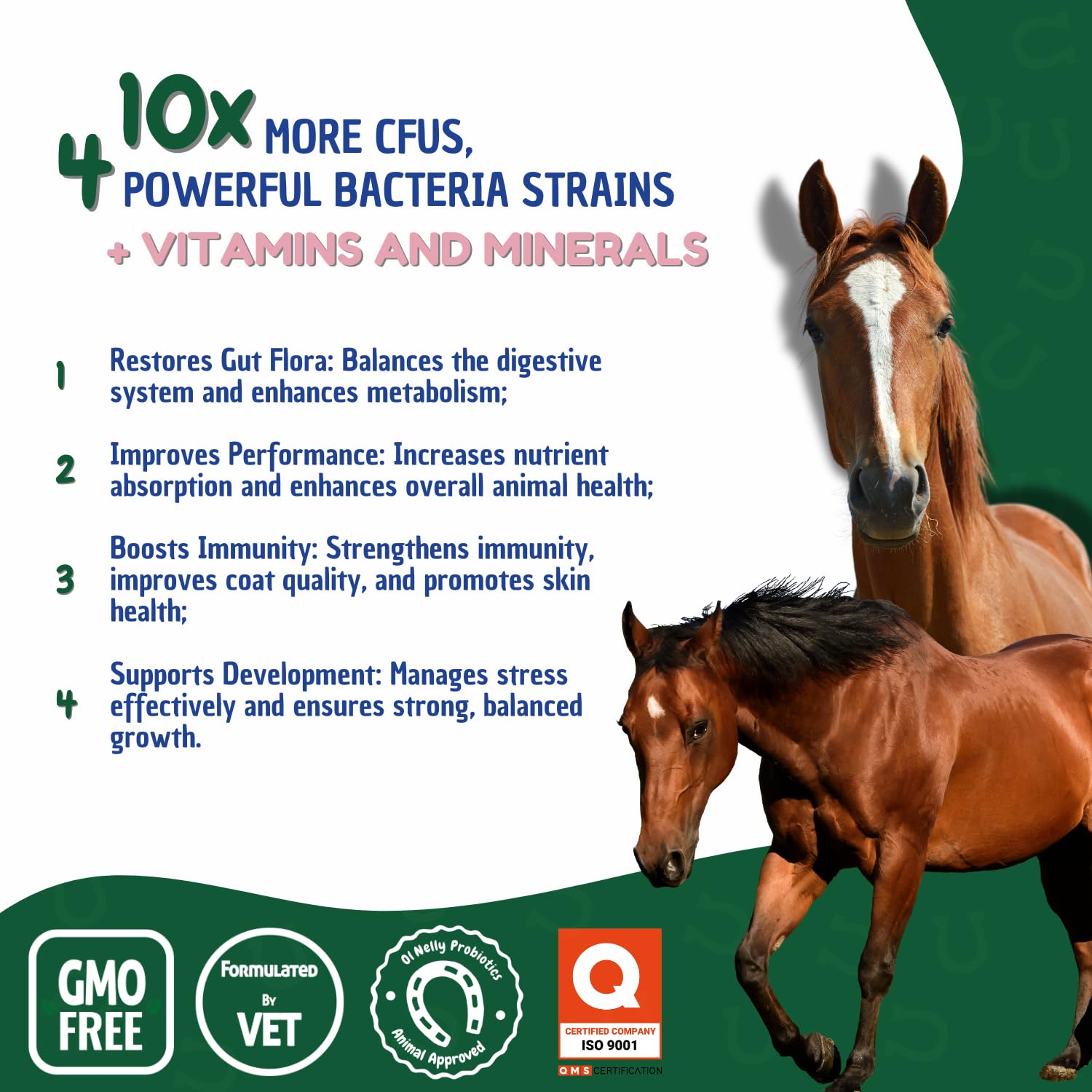 Ol Nelly Horse Probiotics, Horse Paste Pre and Probiotics +Vitamins &Minerals- 4 Strains and 8 Billion CFU Serving- Immune and G