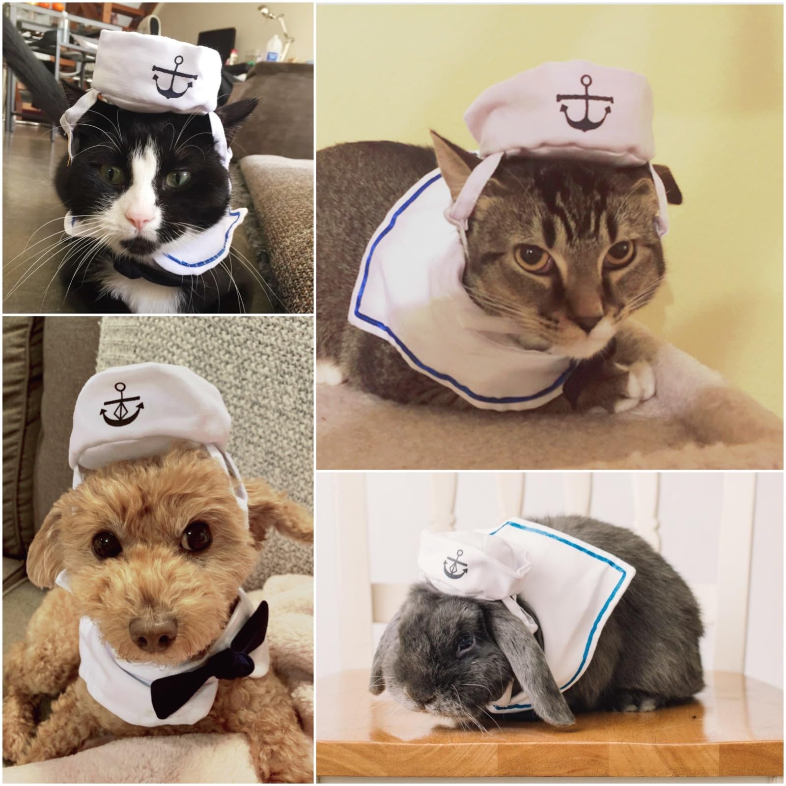 NAMSAN Pet Sailor Costume for Cats Small Dogs, Cat Halloween Costumes, Small Dog Sailor Outfit, Cat Sailors Hat with Tie Collar,
