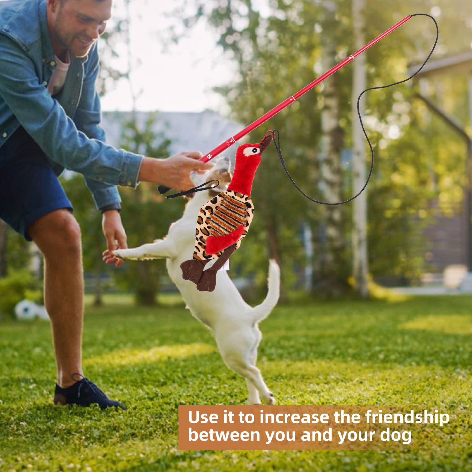 Amyese Interactive Dog Toys - Extendable Flirt Pole With 2Pcs Squeaky Plush Toy Tugs Red Green For Dog Outdoor Entertainment, Train And Exercise
