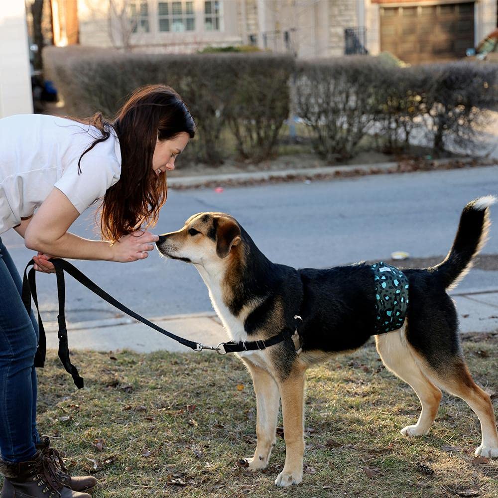 Leekalos Male Dog Diapers (3 Pack), High Absorbing Dog Belly Bands For Male Dogs, Washable Reusable Dog Male Wraps (Bee, Xx-Large)