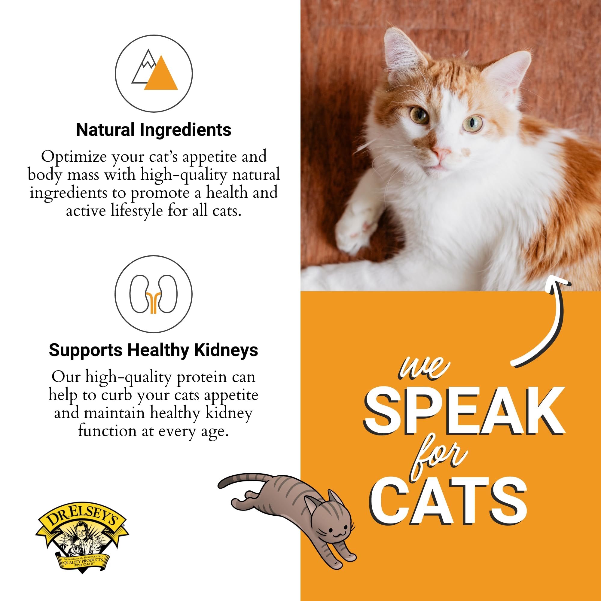 Dr. Elseys Clean Protein Turkey Dry Cat Food - Cat Kibble Dry Food for All Cats -Protein-Rich Healthy Cat Food w/Natural Ingred