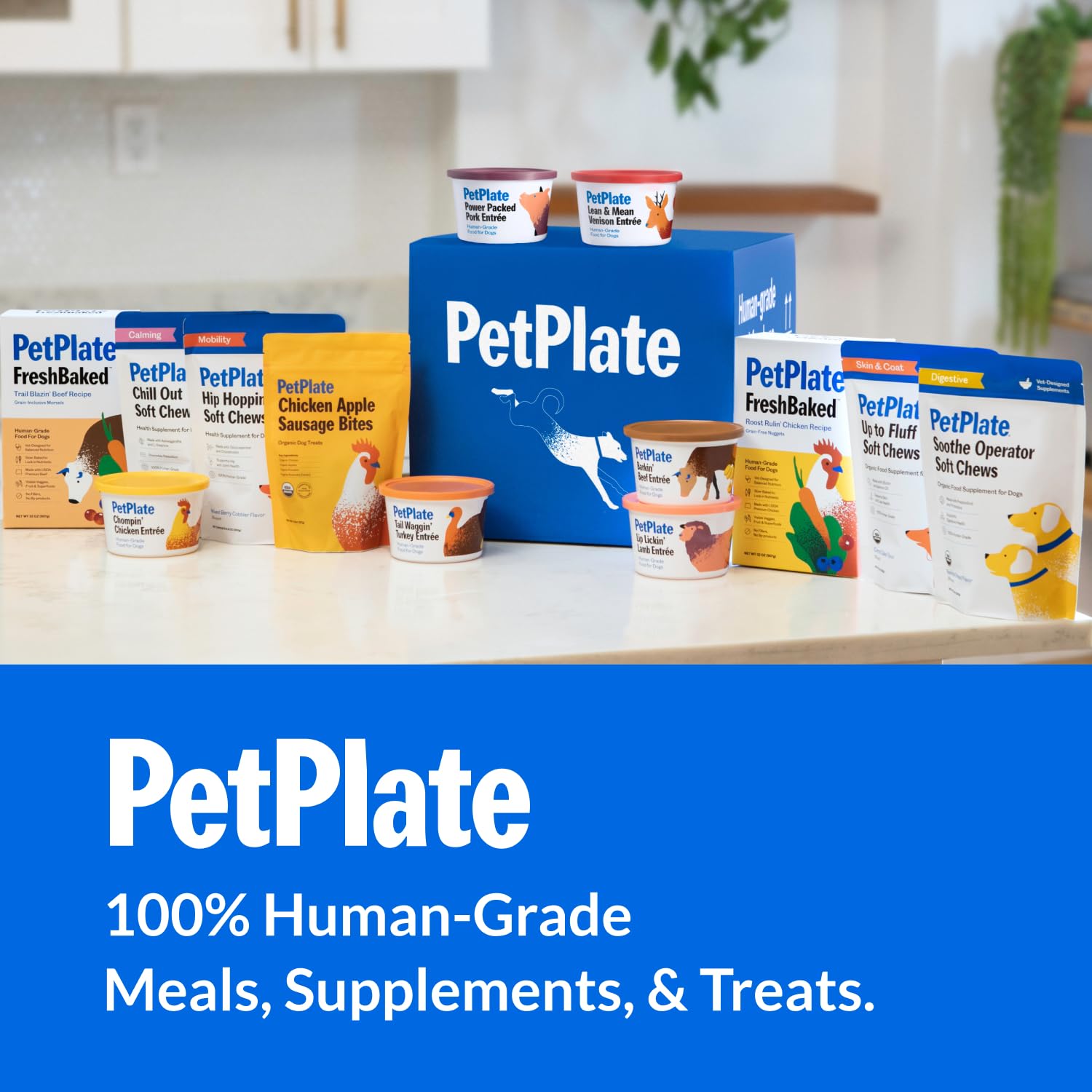 PetPlate Beef and Sweet Potato Bites - Grain-Free, Organic Dog Treats, High Protein - 4.5 Ounce (Pack of 1)