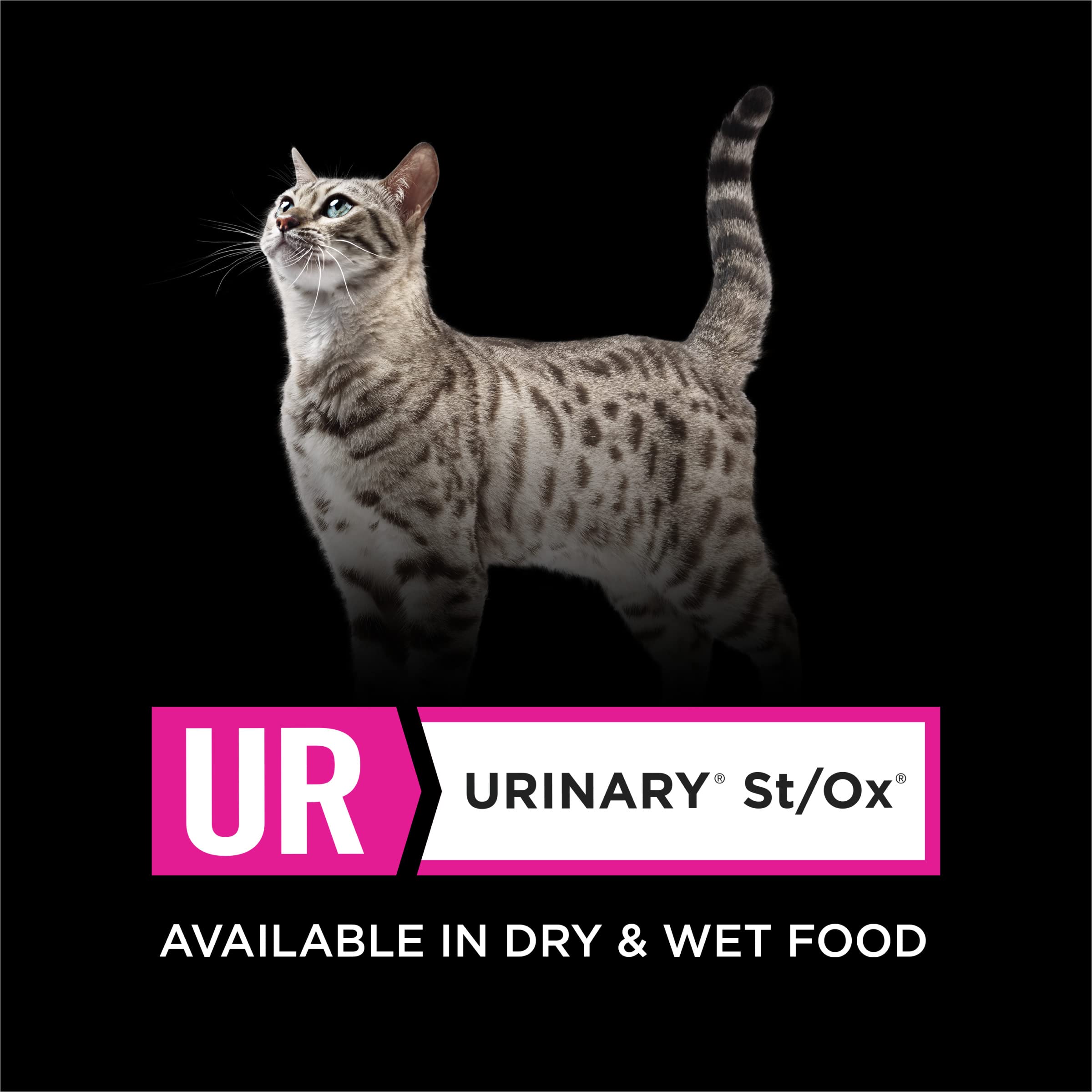 Purina Pro Plan Veterinary Diets UR Urinary St/Ox Feline Formula Dry Cat Food - 16 lb. Bag