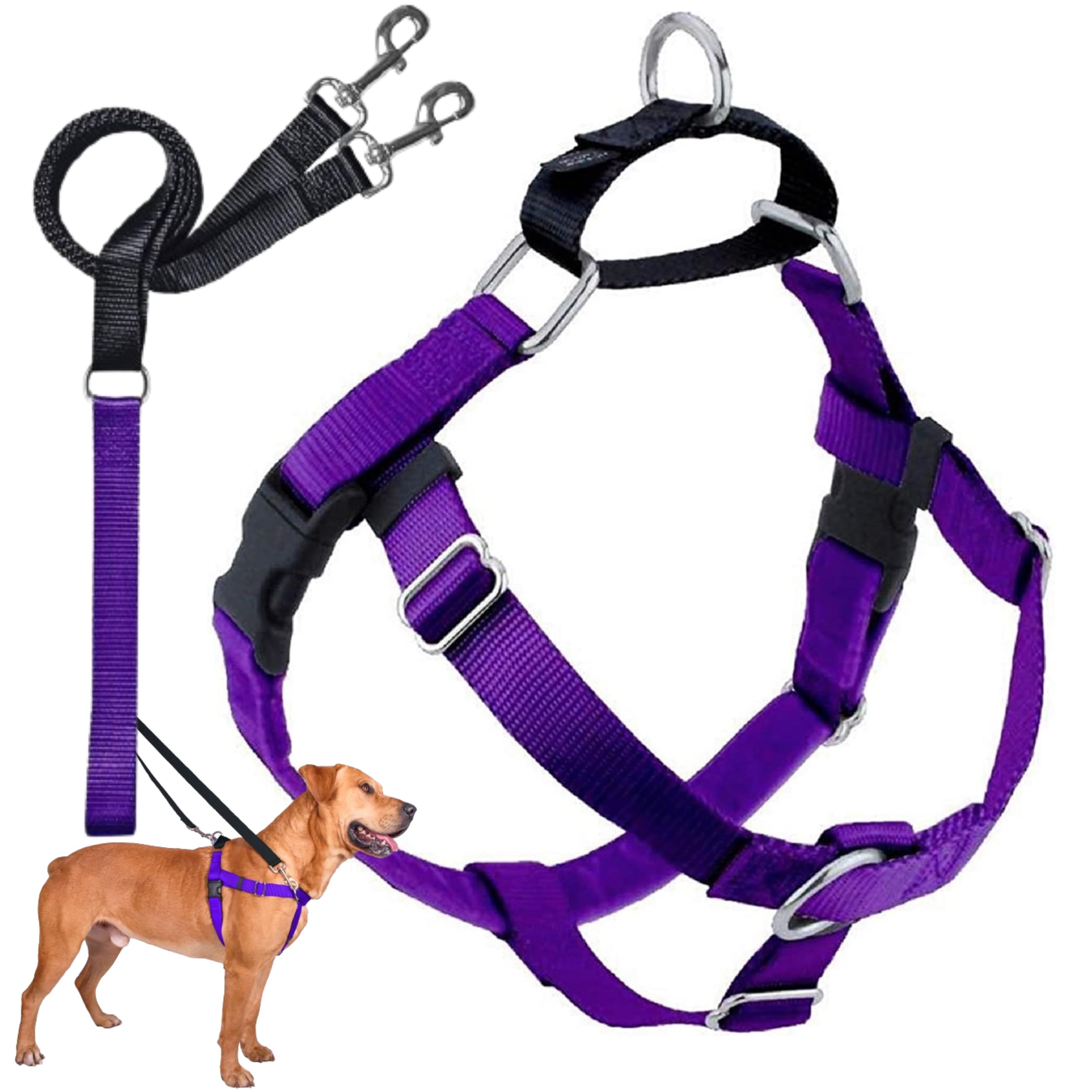 2 Hounds Design Freedom No Pull Dog Harness, Adjustable Harness And Leash Set, Easy Walking & Comfortable Control, Fits Small, Medium & Large Dogs, Solid Colors, Made In Usa, 5/8' Sm, Purple