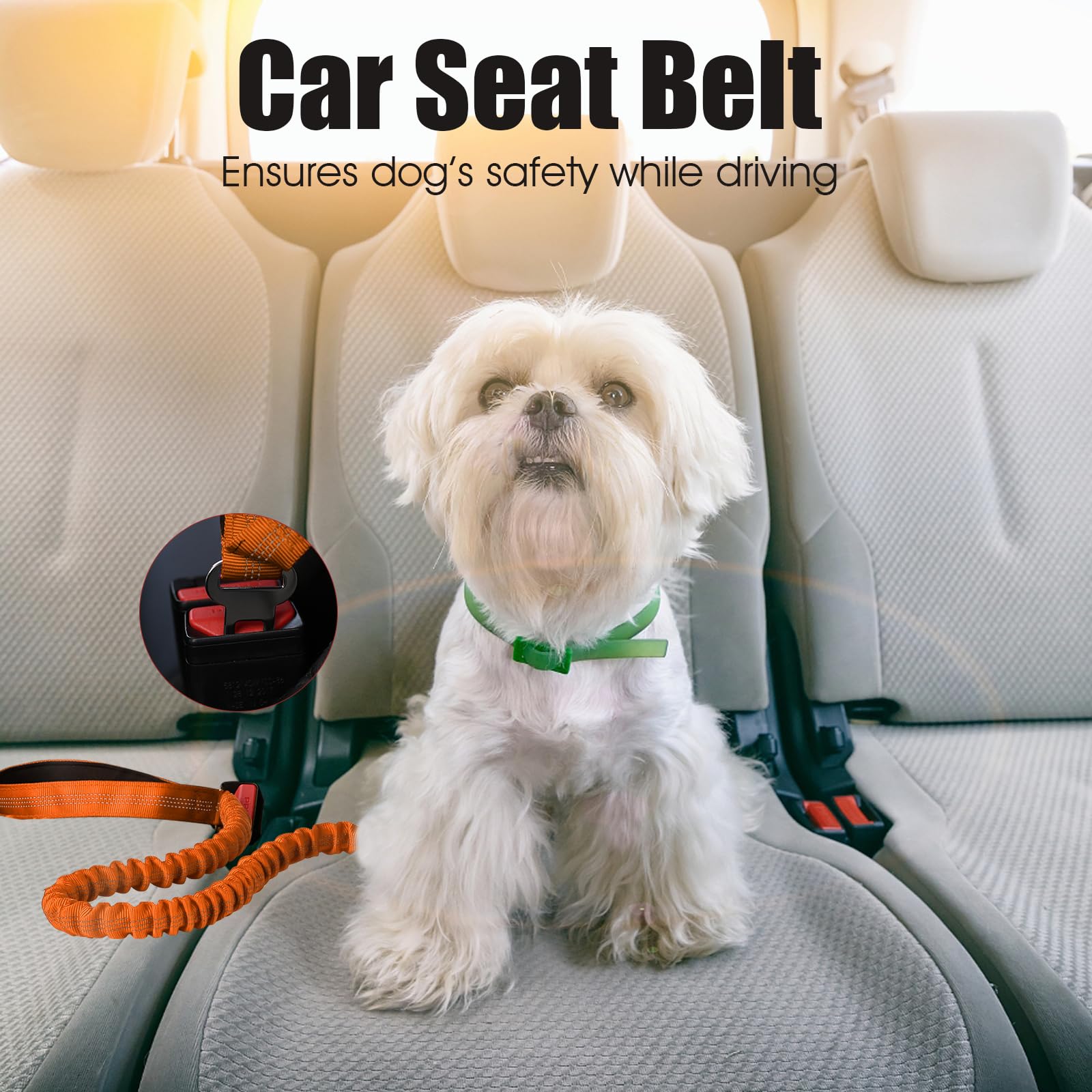 BUMBIN 6Ft Dog Leash - Large Dogs, Bungee Leash with 2 Handles, Heavy Duty, No Pull Shock Absorbing, Orange