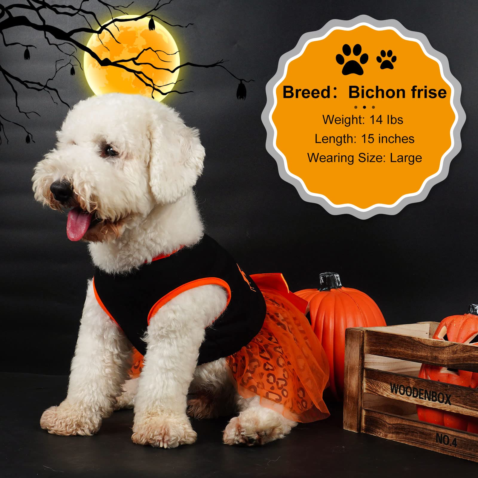 Cyeollo Halloween Dog Dress Holiday Outfits Boo Cute Leopard Print Pumpkin Puppy Girls Party Dog Tulle Dresses For Dogs Cats Size S