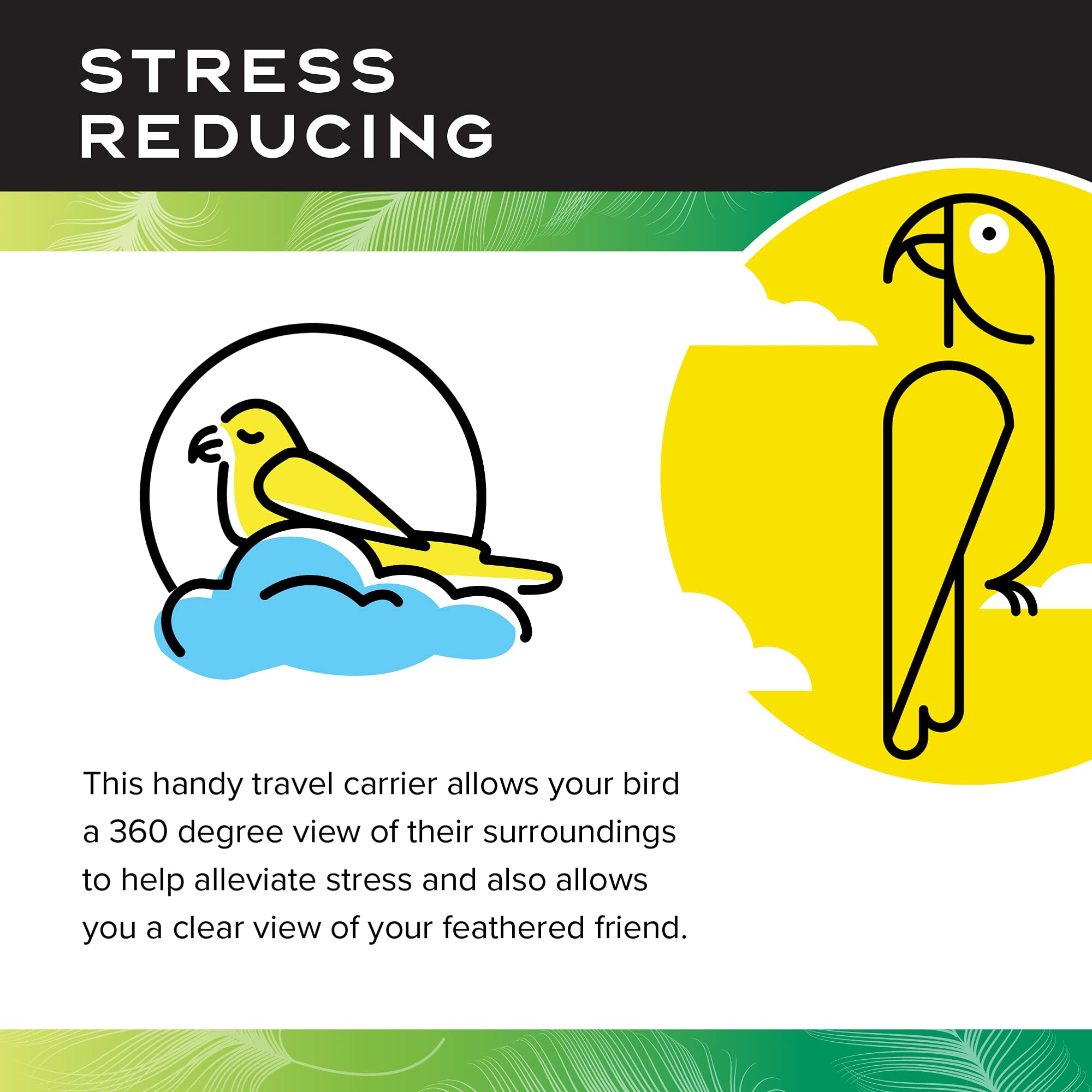 Caitecperch & Go Polycarbonate Bird Carrier, Clear View Travel Cage