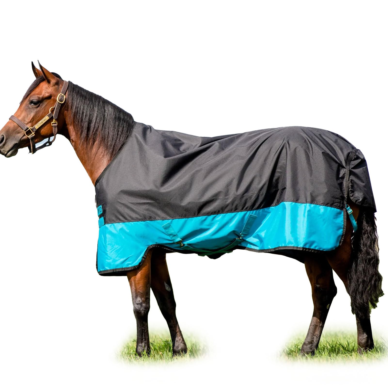 Horseware Ireland Mio T/O Lite, Color: Black/Turq & Black, Size: 57 (Aasa41-Kctk-57)