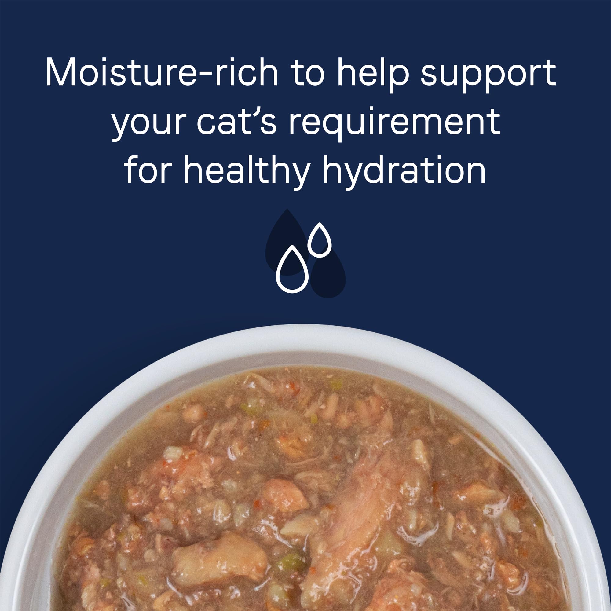 CANIDAE PURE With Salmon and Whitefish in Broth Cat Wet (24) 2.46 oz.
