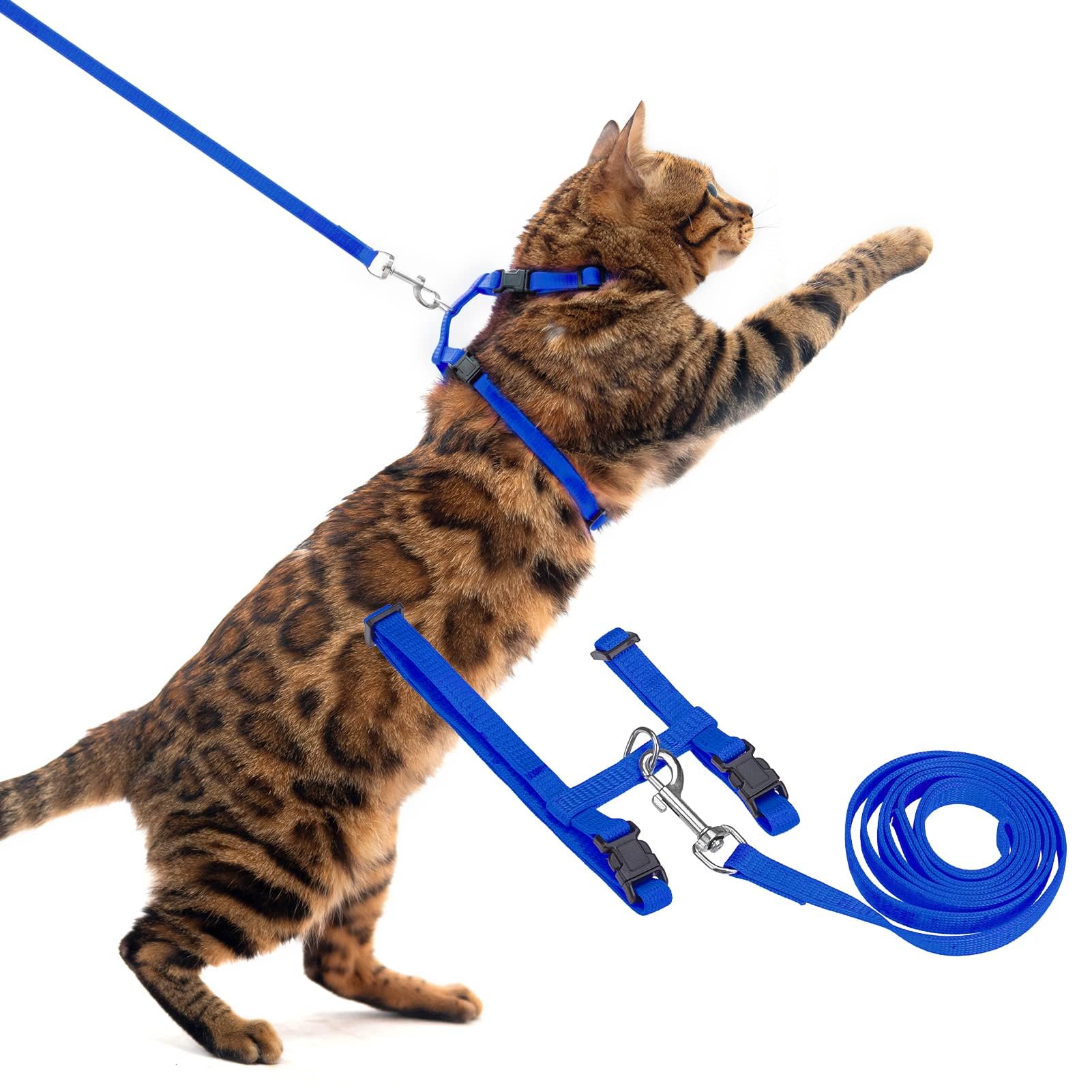 Pupteck Adjustable Cat Harness And Leash Set Escape Proof Kitten Strap Collar For Walking Travel, Blue, M