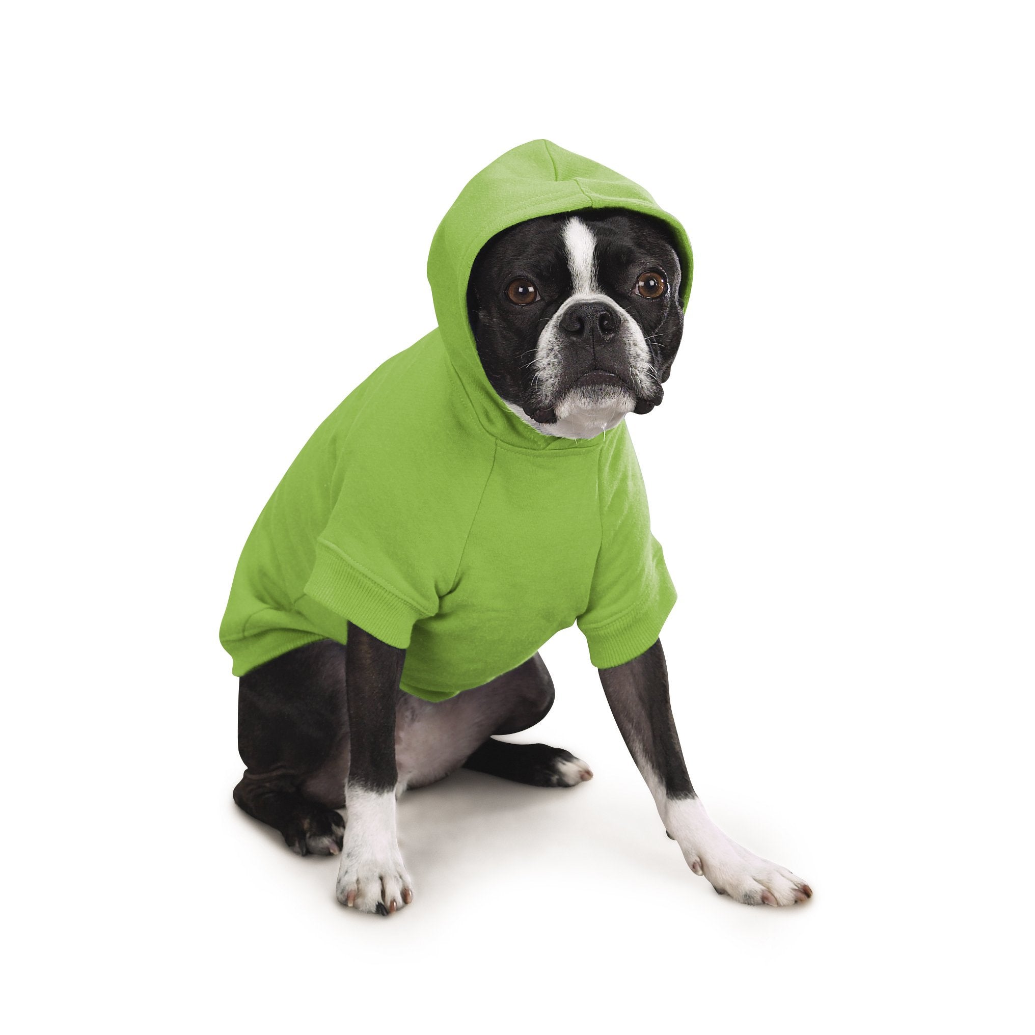 Zack & Zoey Basic Hoodie For Dogs, 16' Medium, Parrot Green