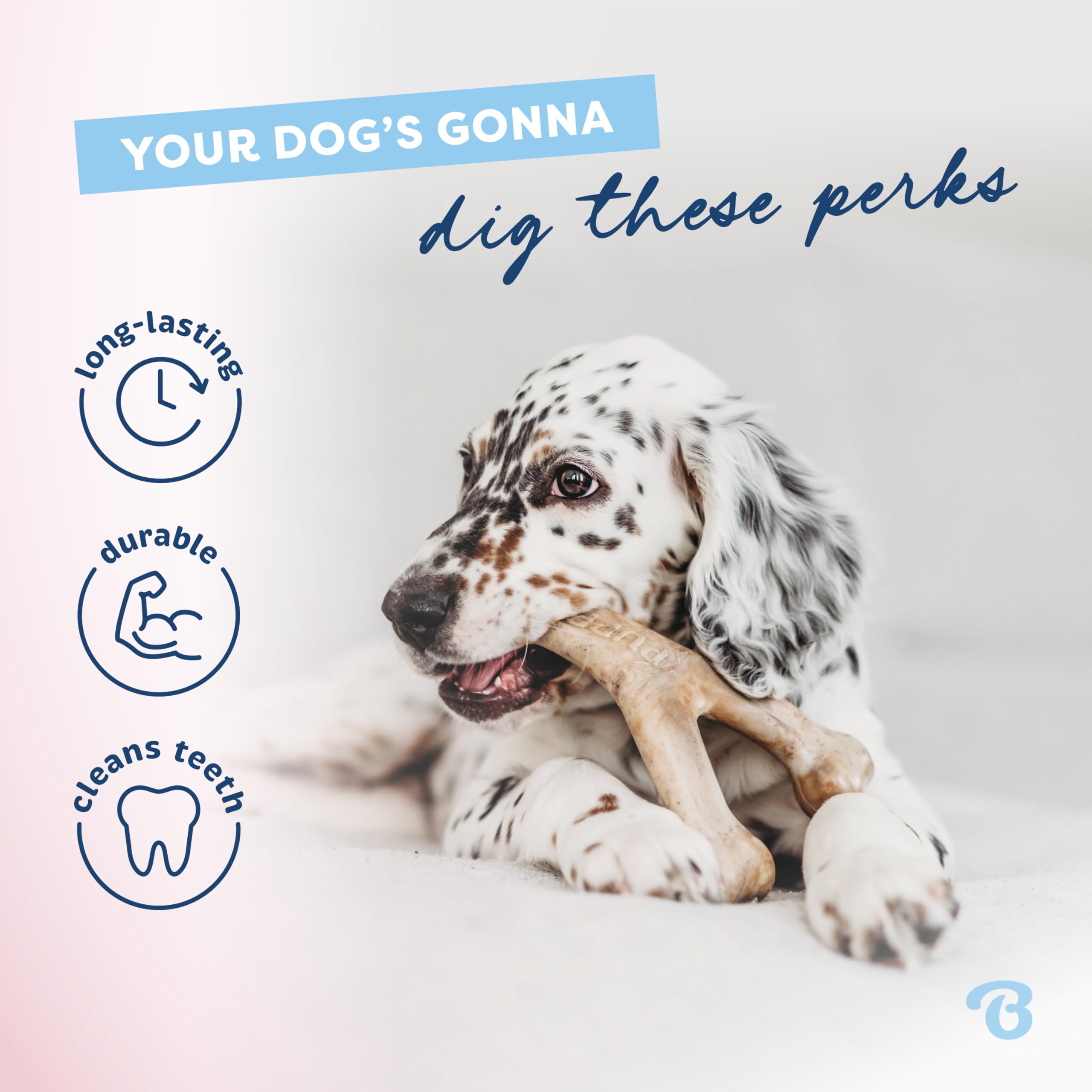 Benebone Puppy 2-Pack Dental Chew/Wishbone Bacon Small